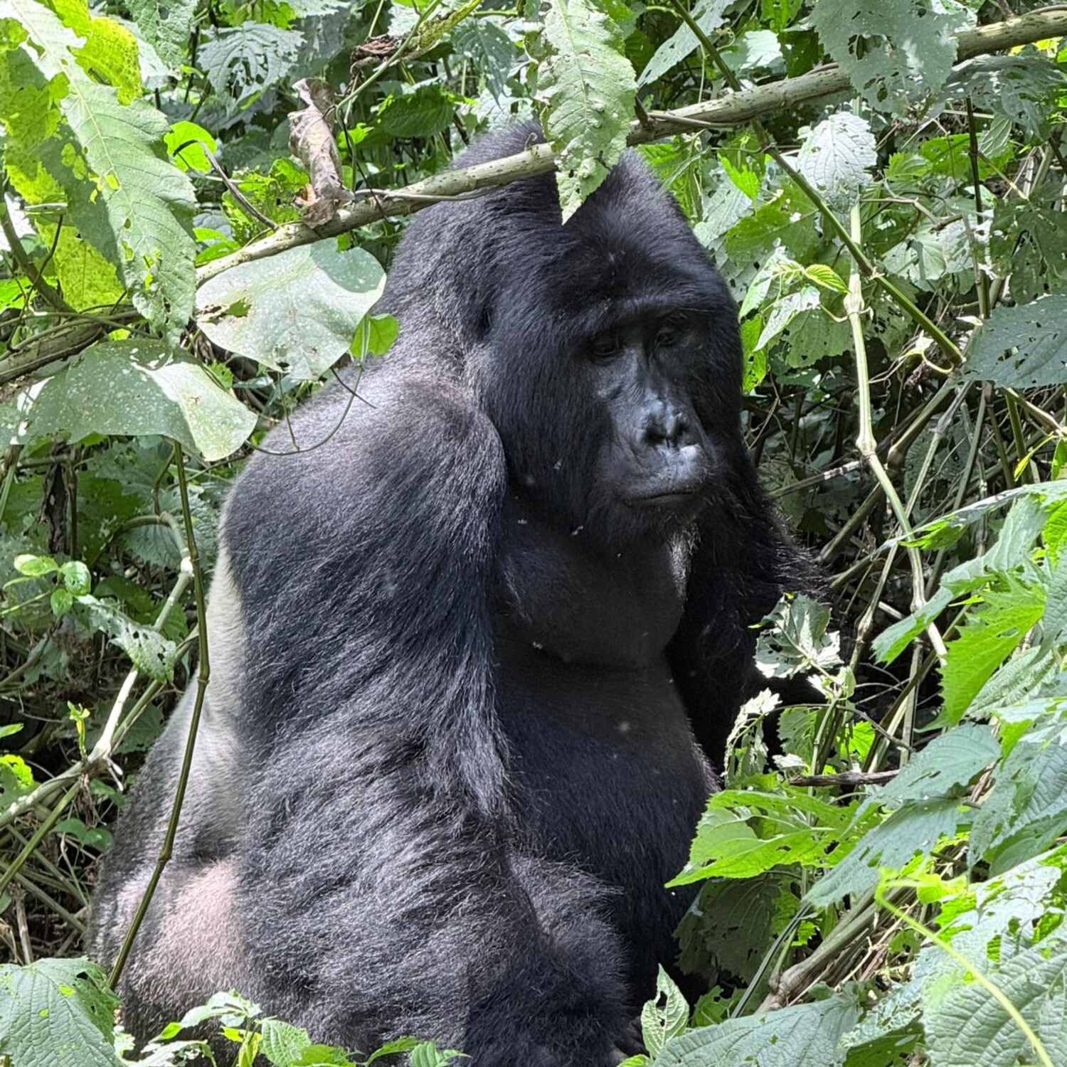 2026 3-month Adventure