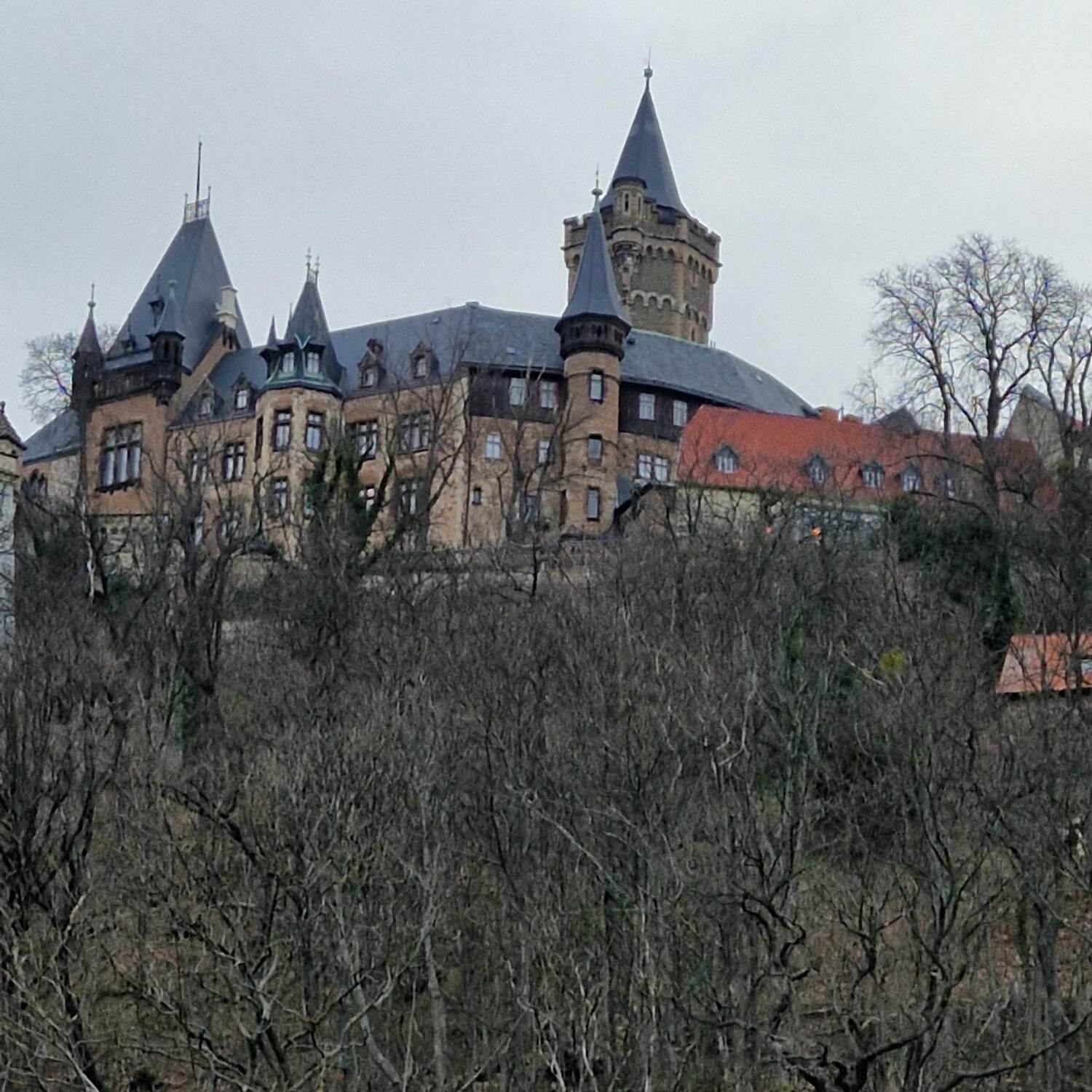 Bildungsurl. Wernigerode