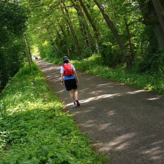 Trail Hobbit