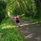 Trail Hobbit