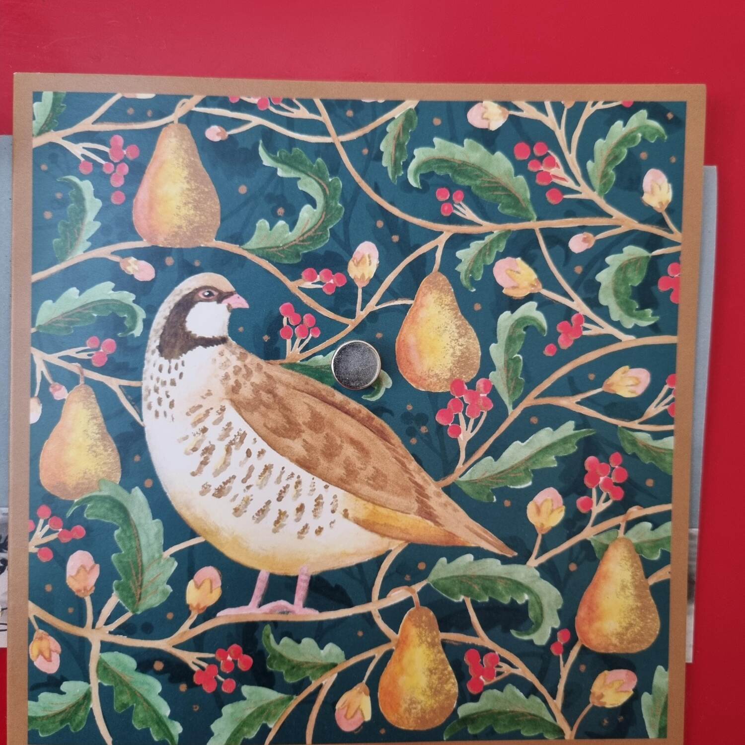 A partridge in a peartree