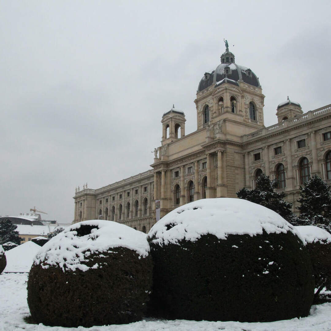 Falling in love with Vienna