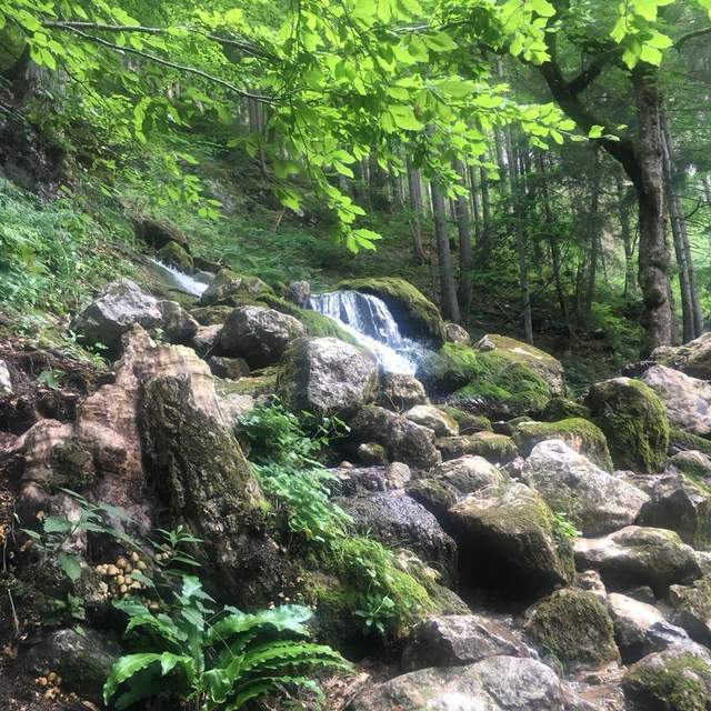 Wanderluft schnuppern