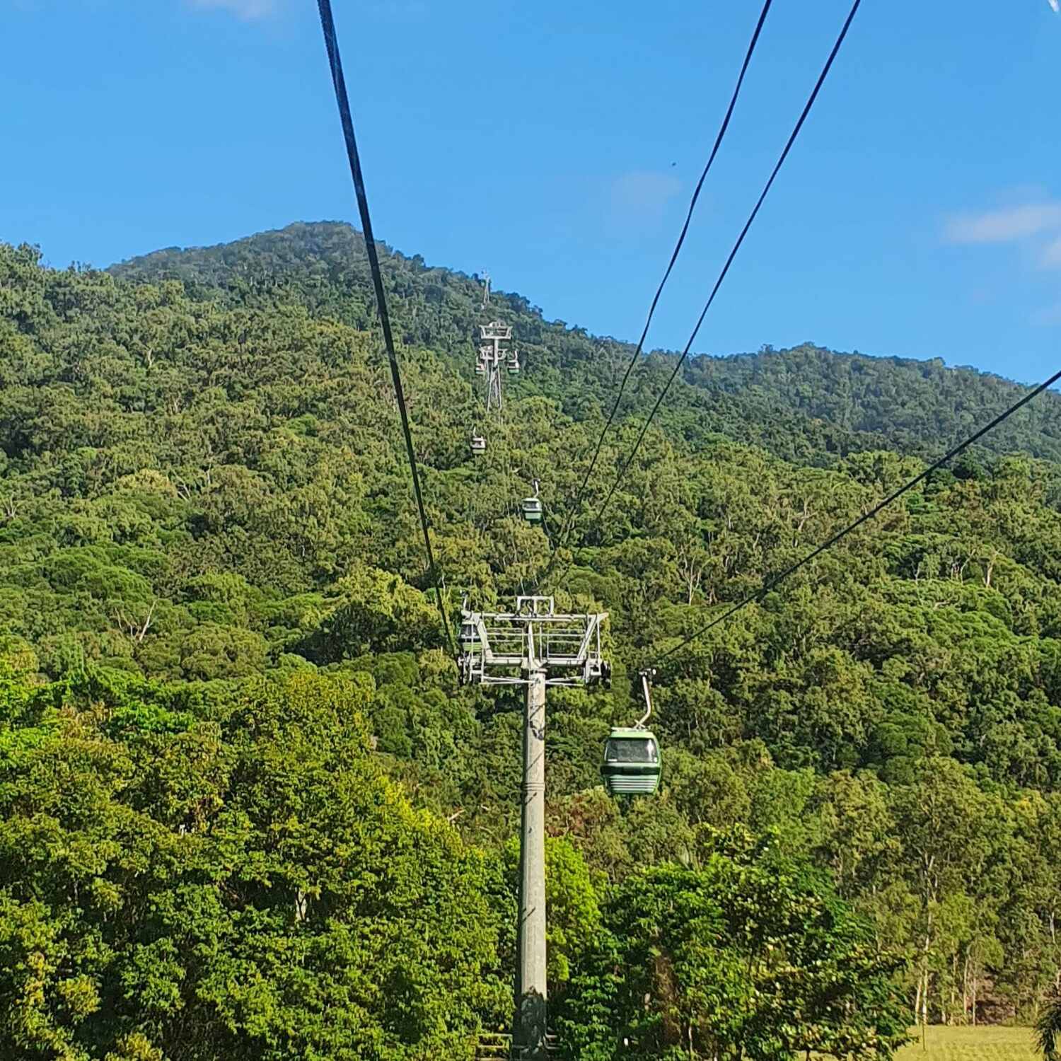 Day Tripping Kuranda Village