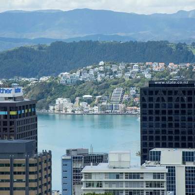 Seaching for a Tui