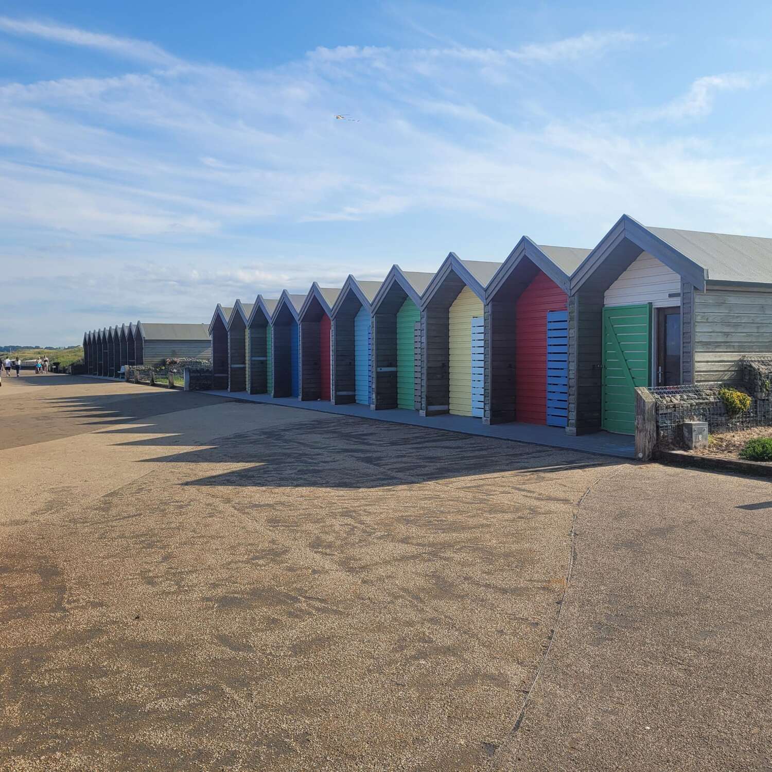 Gad about at the coast