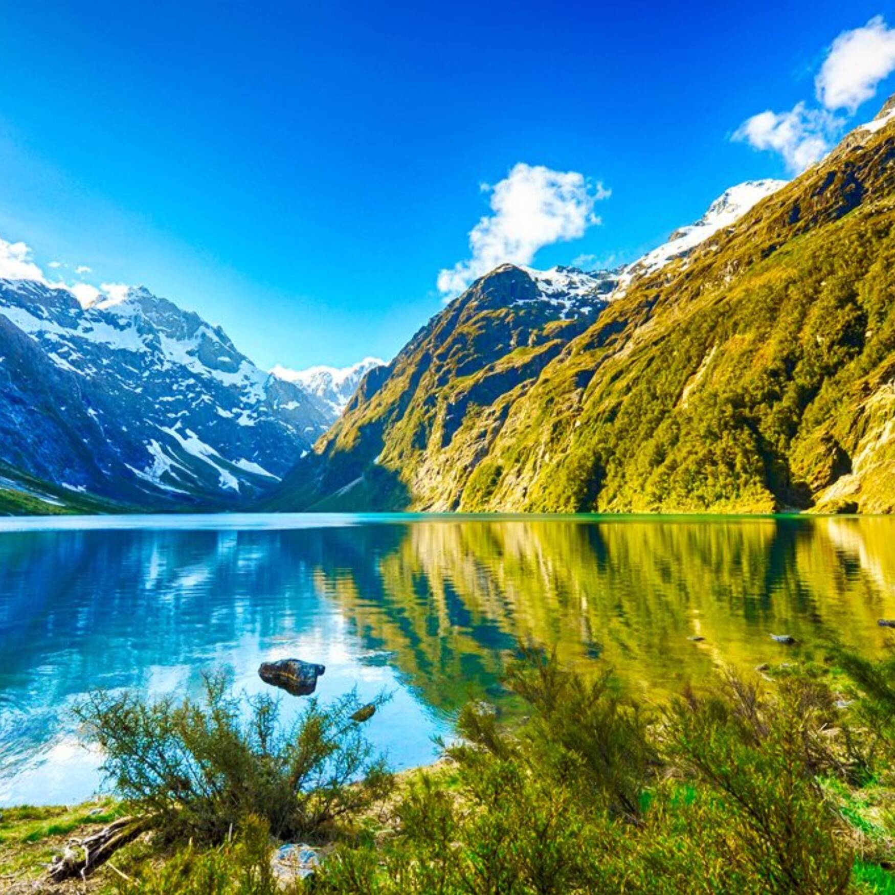 New Zealand Roadtrip