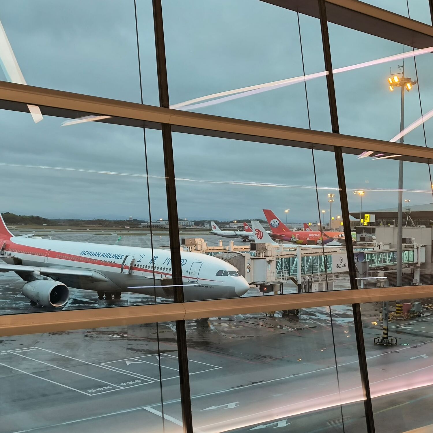 Asia 2026 #1 🍊🌸 🇯🇵🇰🇷