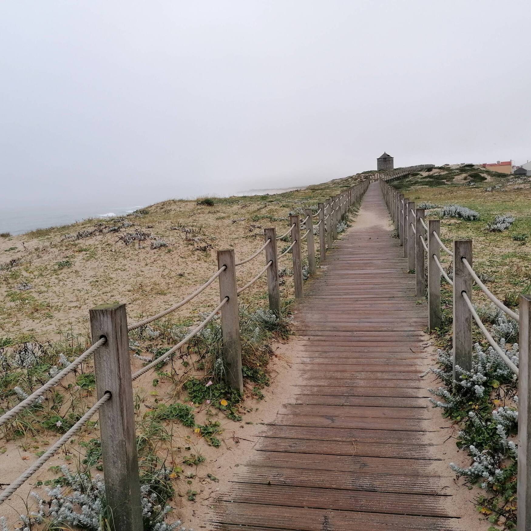 Bom Caminho Portugues