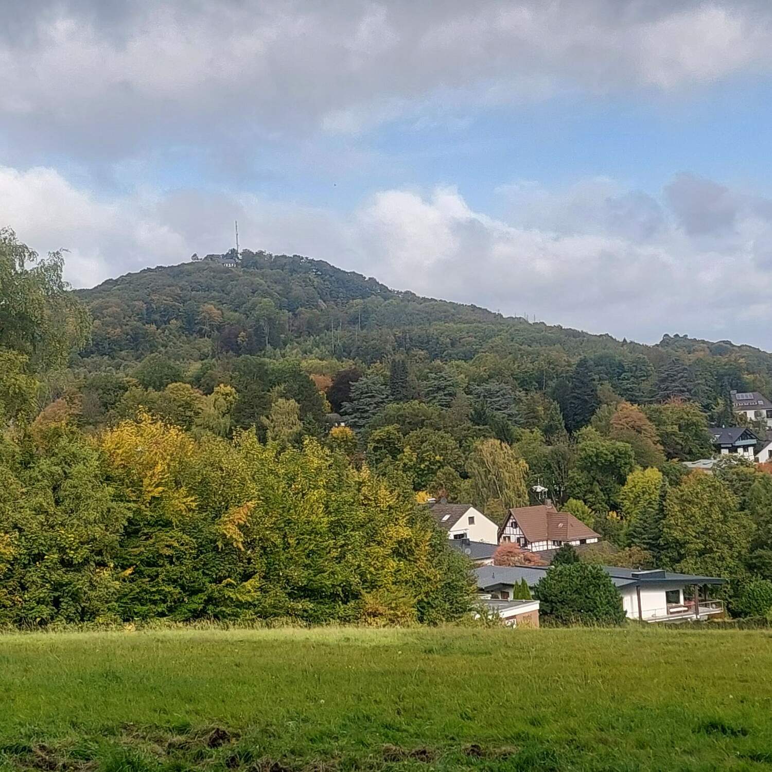 Herbstliche Siebengebirge