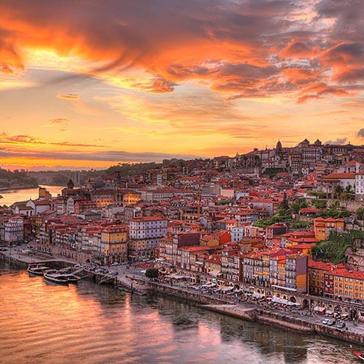 Camino Oporto la Costa