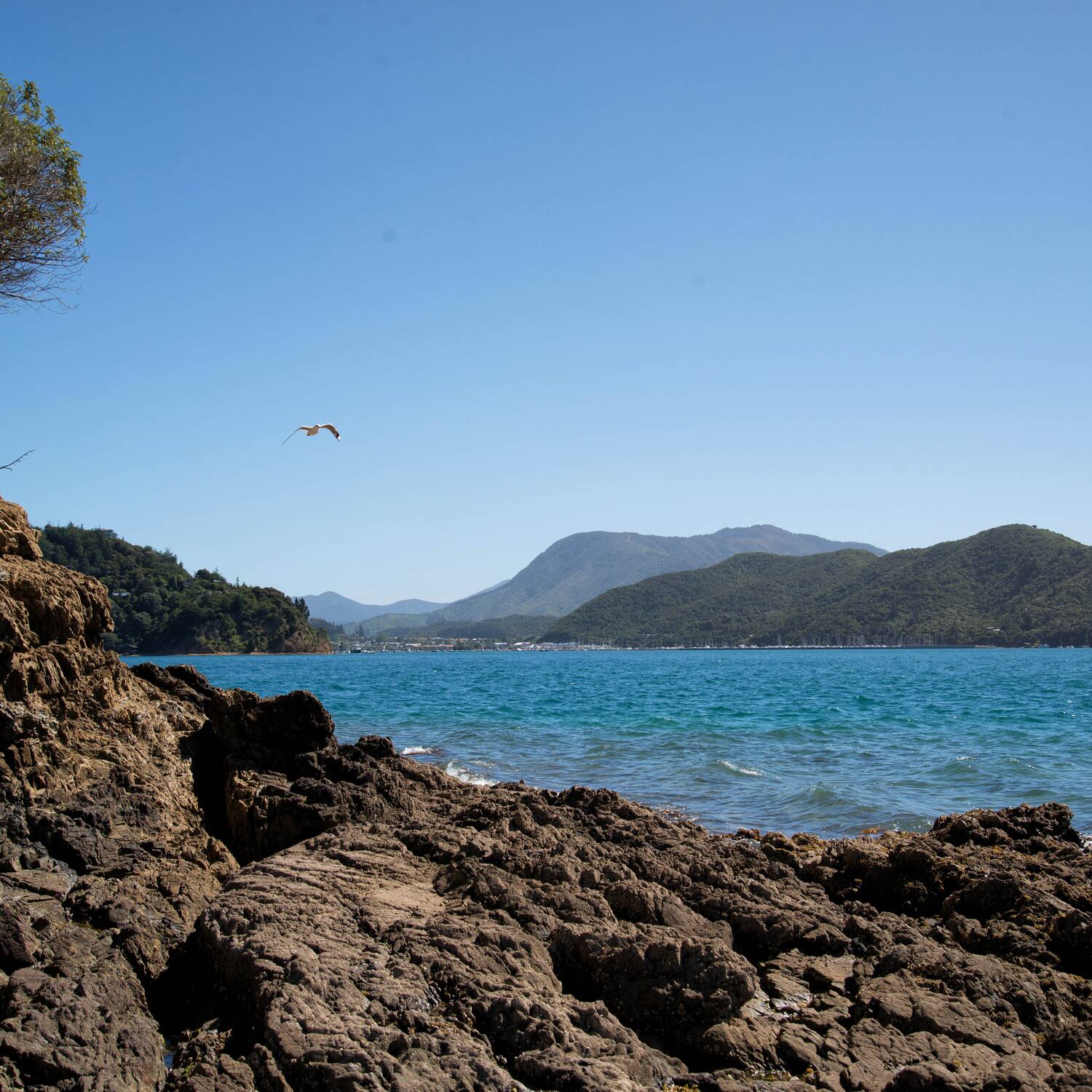 North, South, East and West