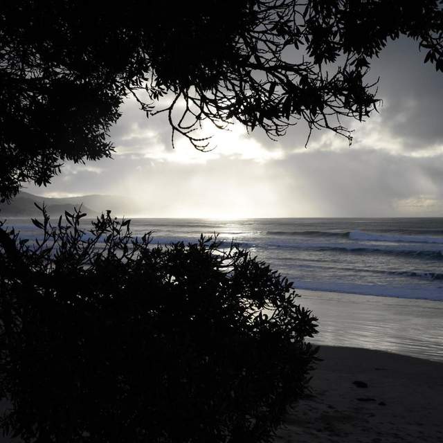 Wainui