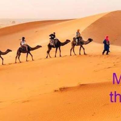Camel Trip Morocco