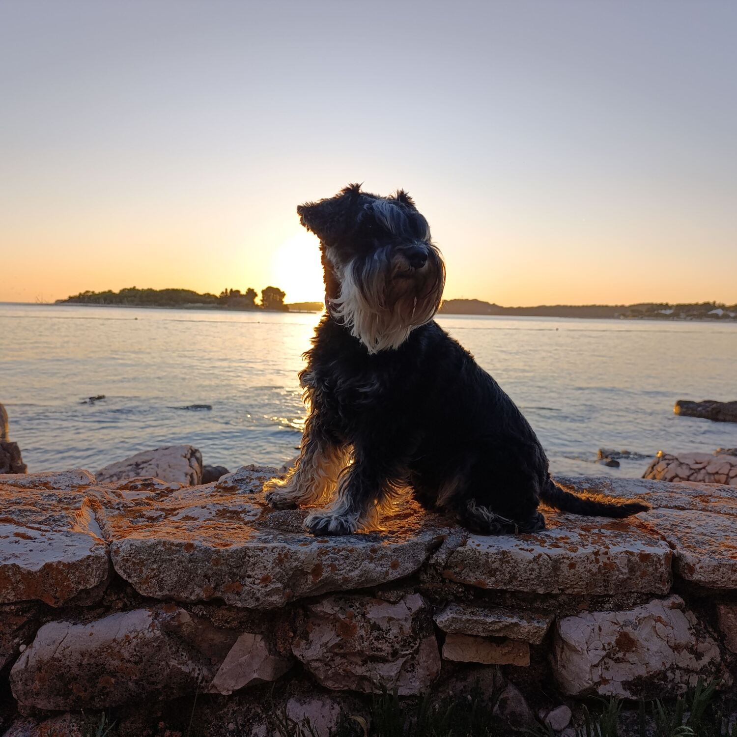 Seaside Recharge, Rovinj