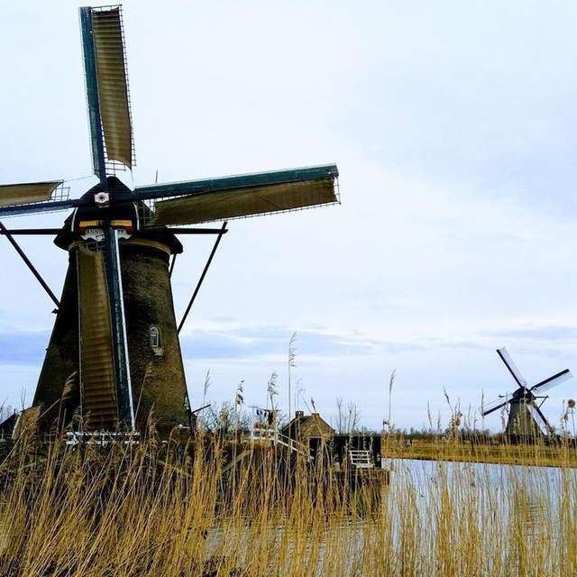Trip to the Netherlands