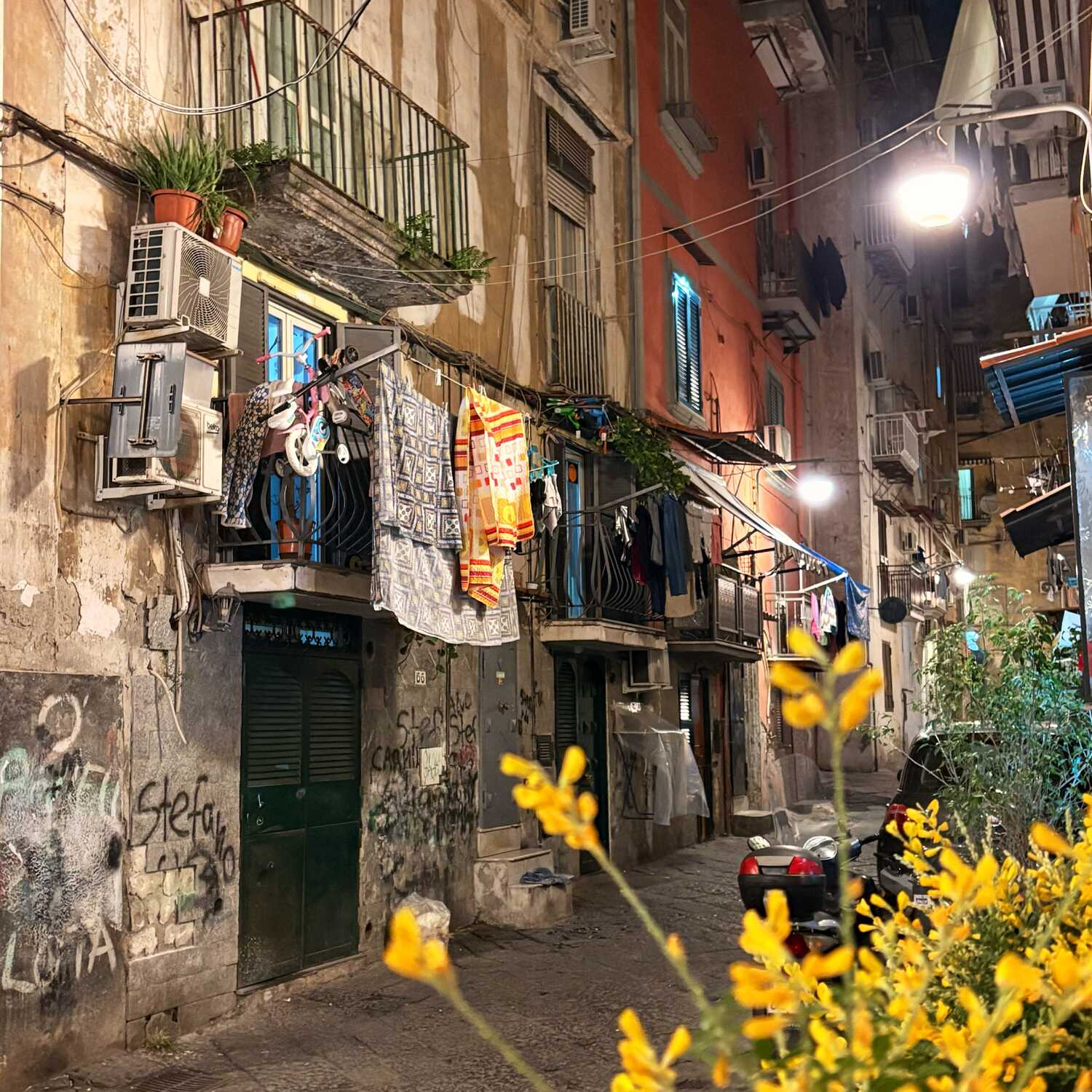 Campania 🇮🇹 ✈️ 🍕