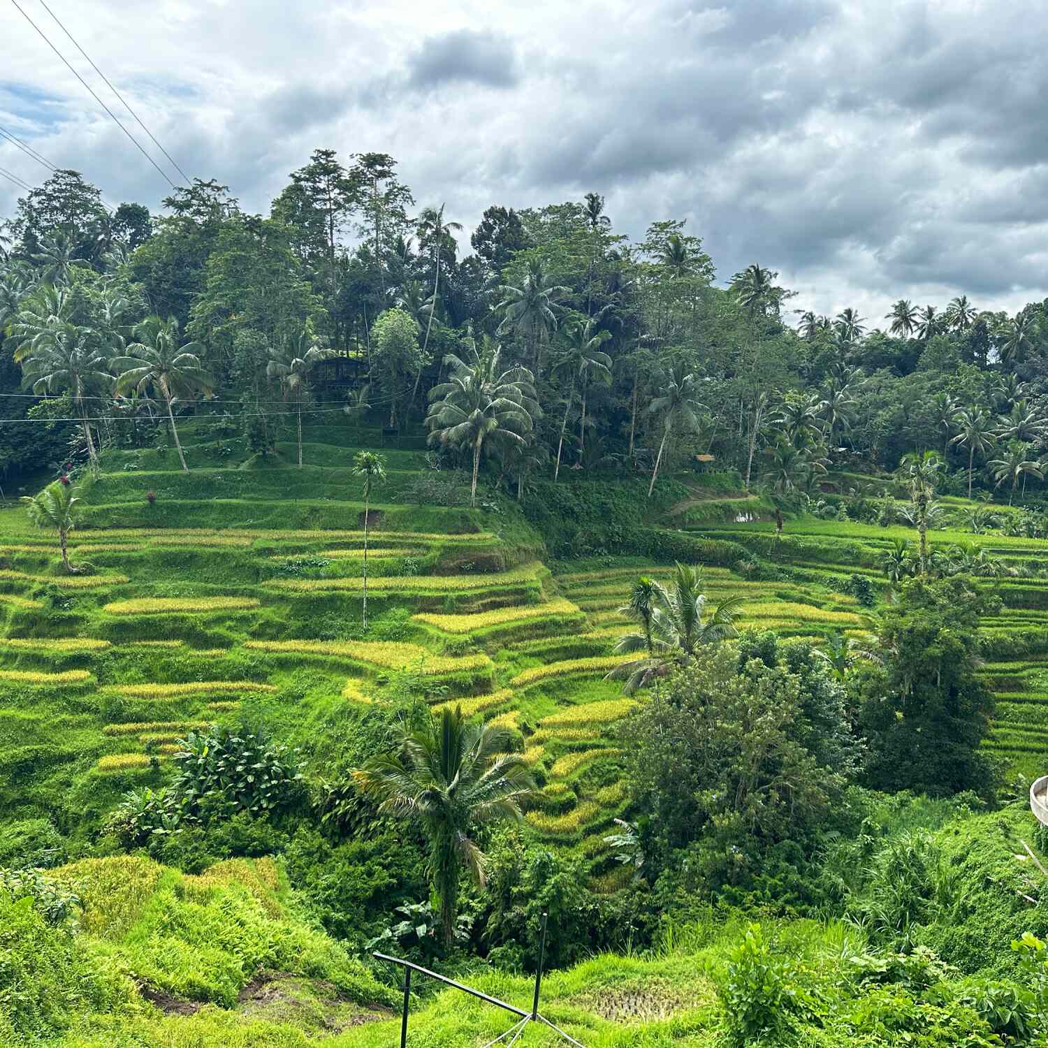 Bali indonesien