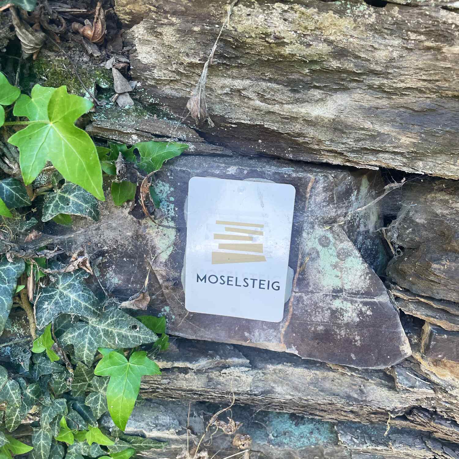Moselsteig - Sectionhike