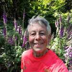 Anne Brady