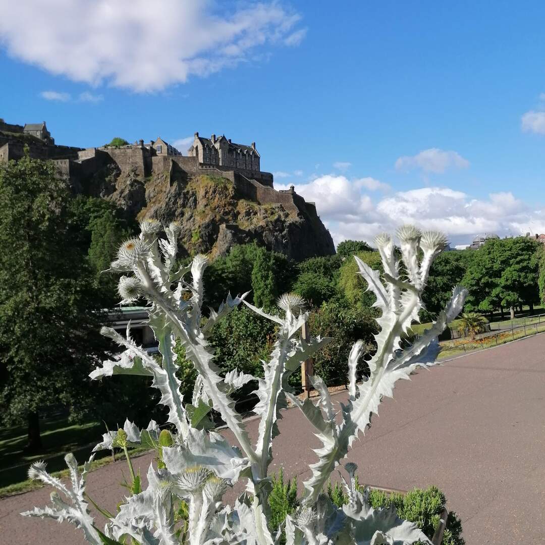 Edinburgh