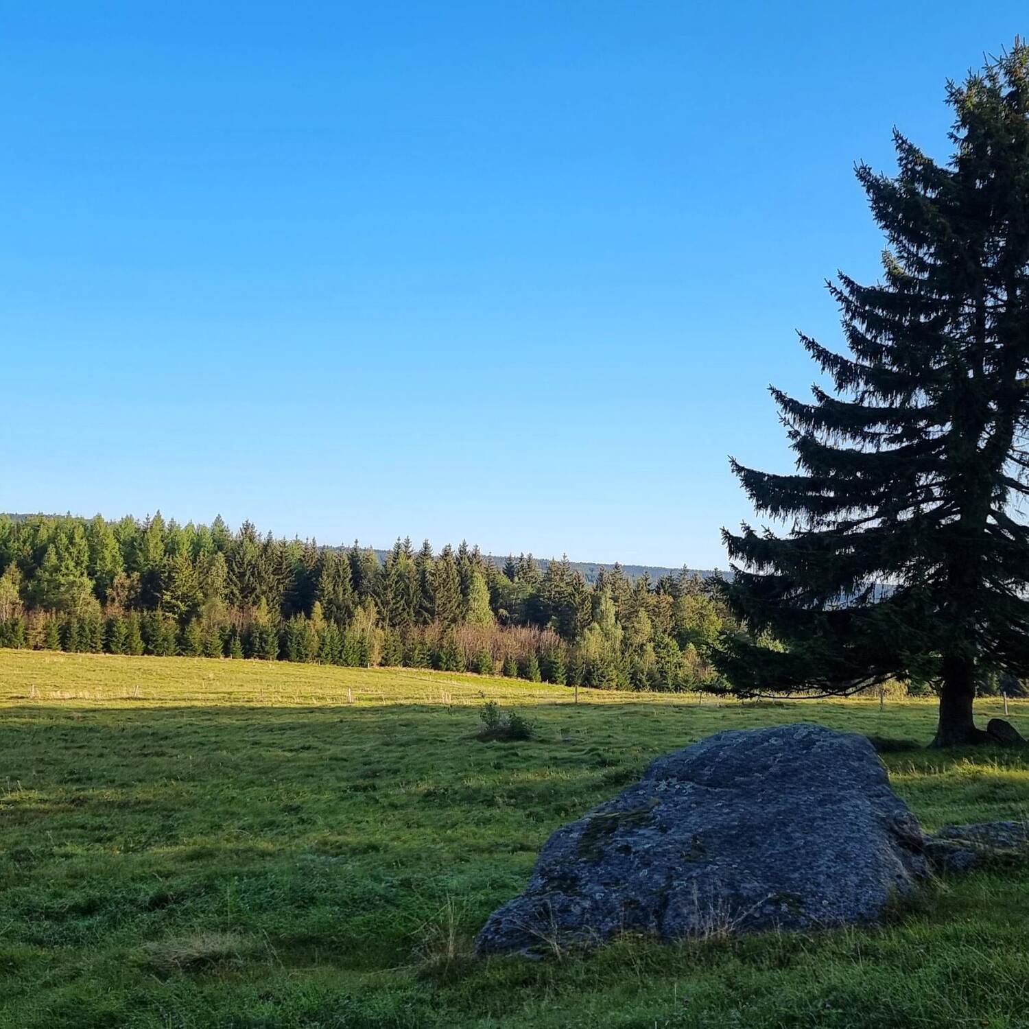 Это моё последнее путешествие