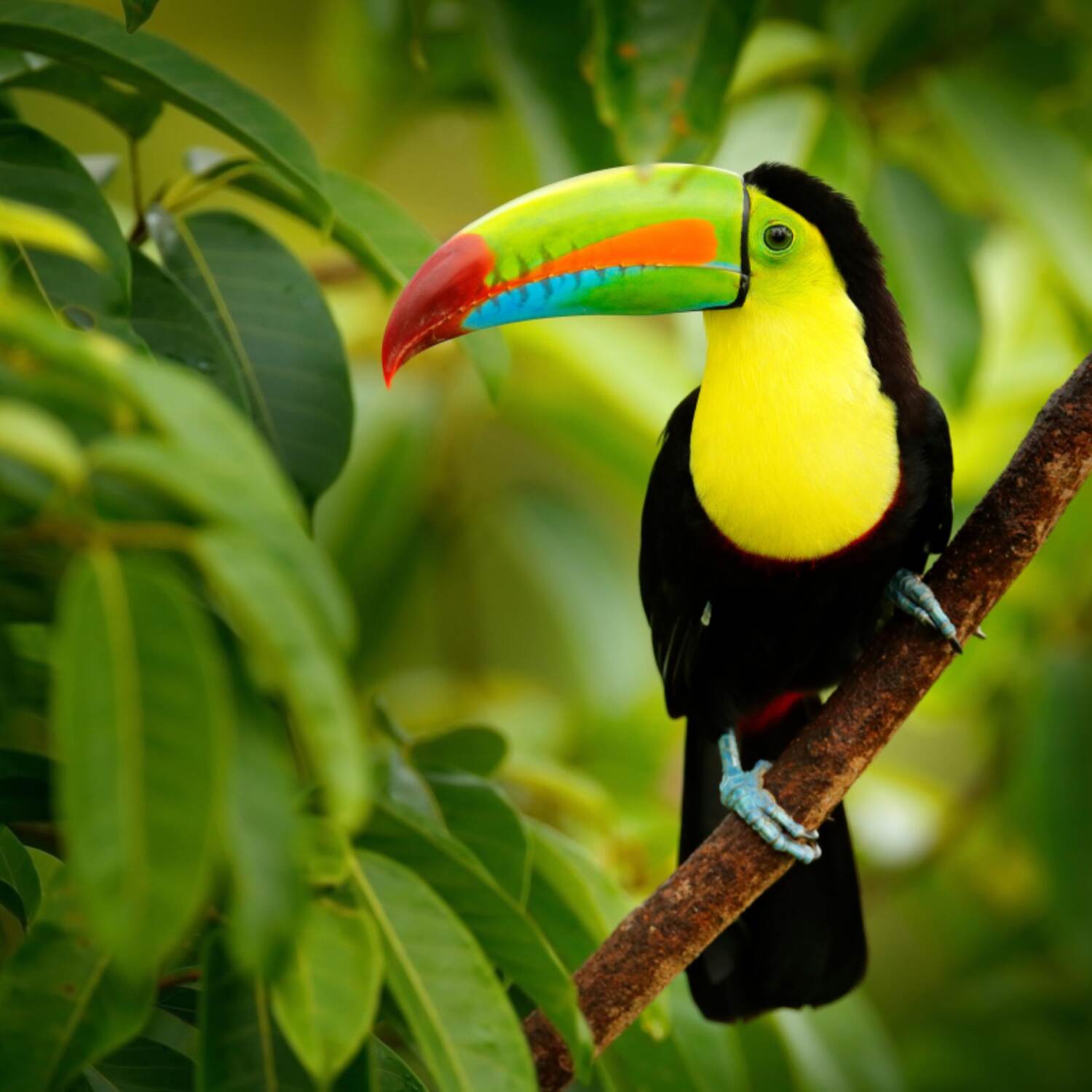 Costa Rica 2023!