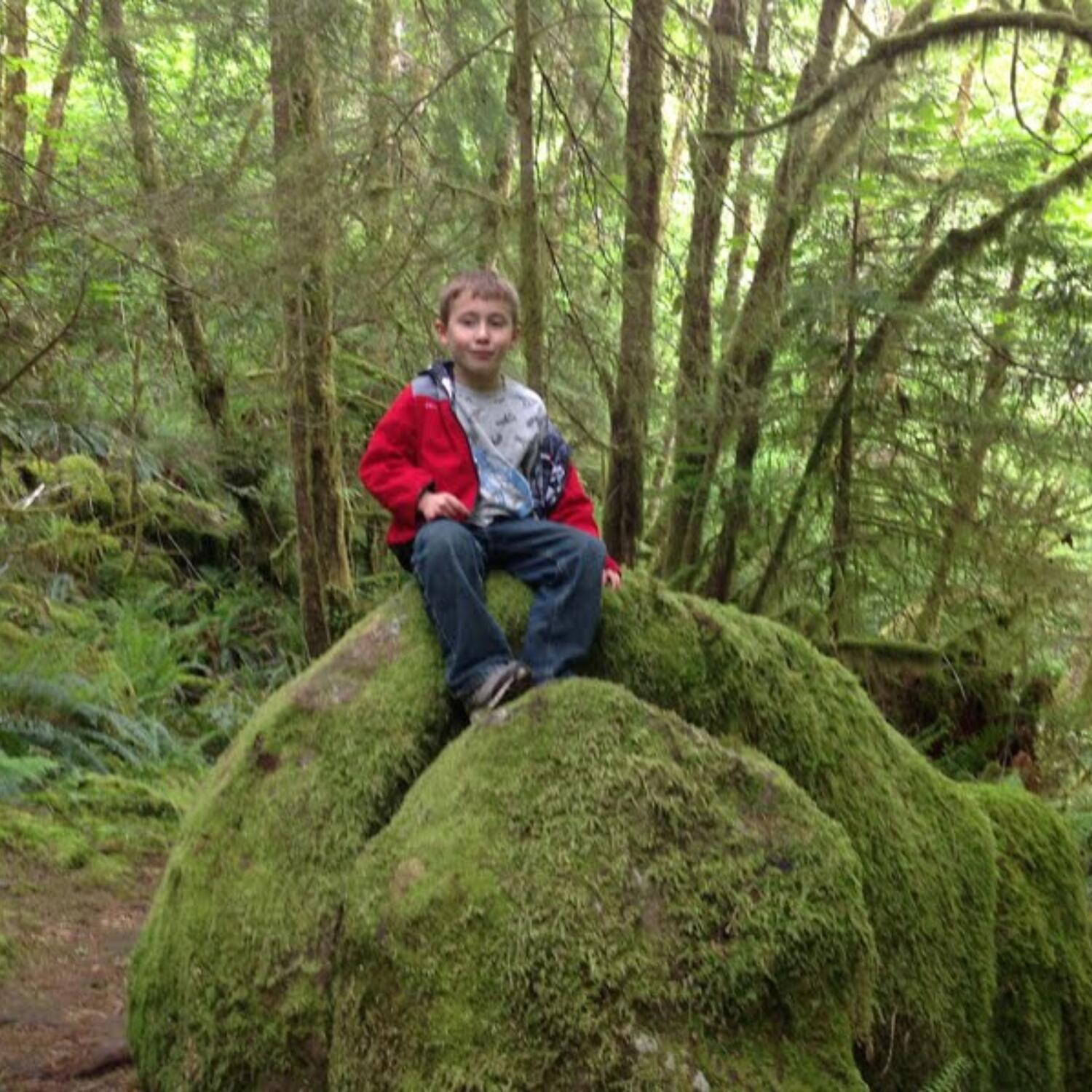 Redwoods 2026