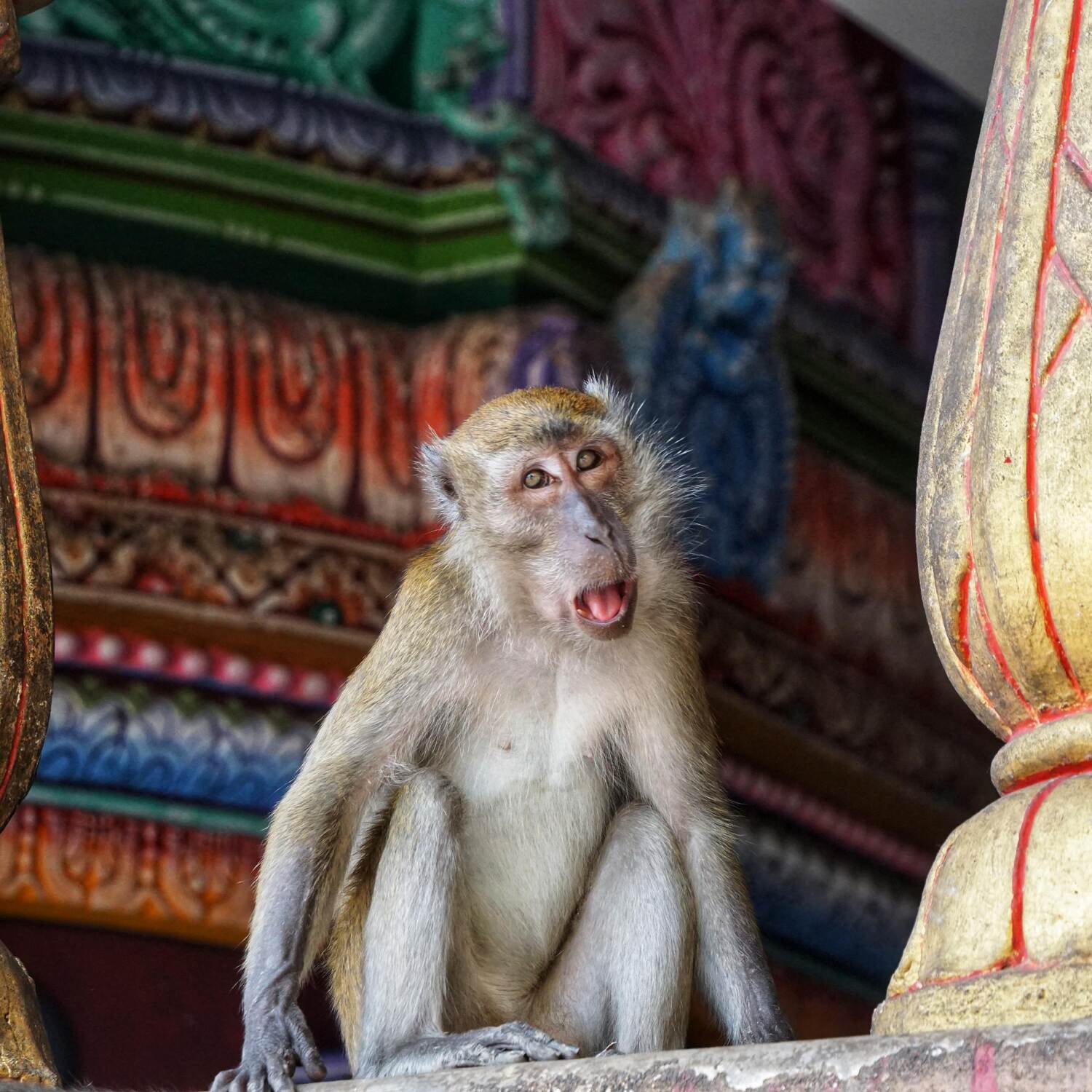 South East Asia