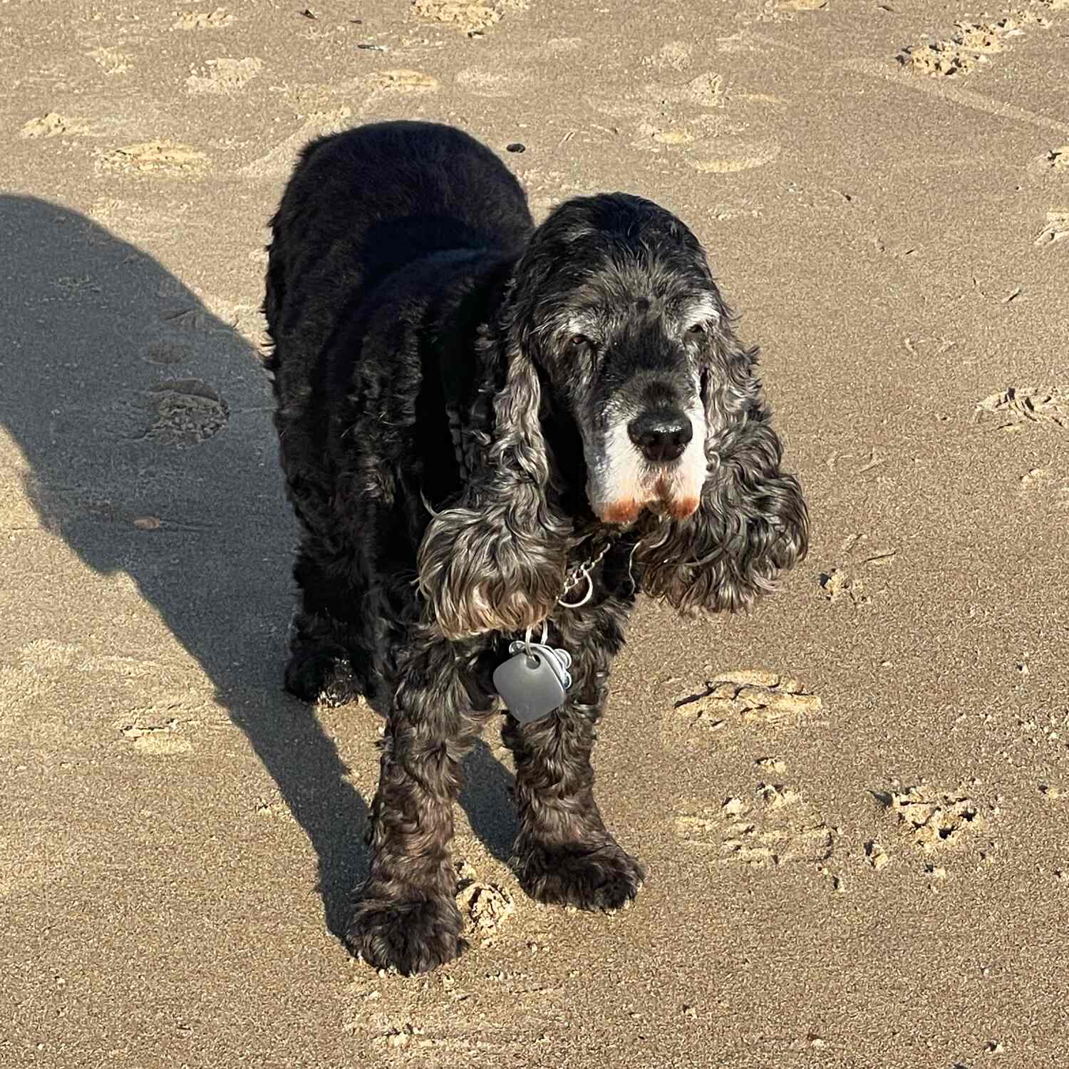 Nordseeurlaub mit Kira