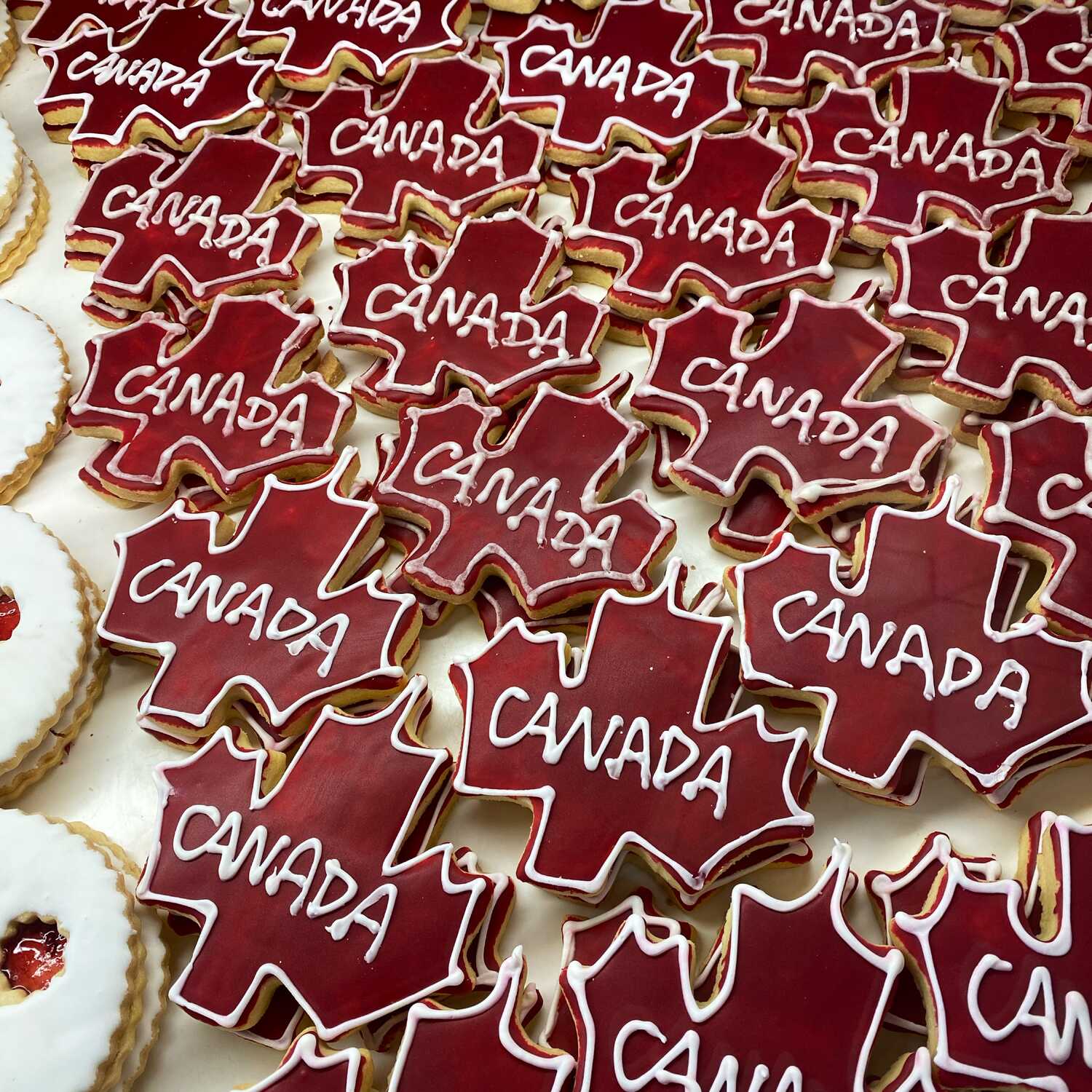 2026 01 Patu en Canadá II