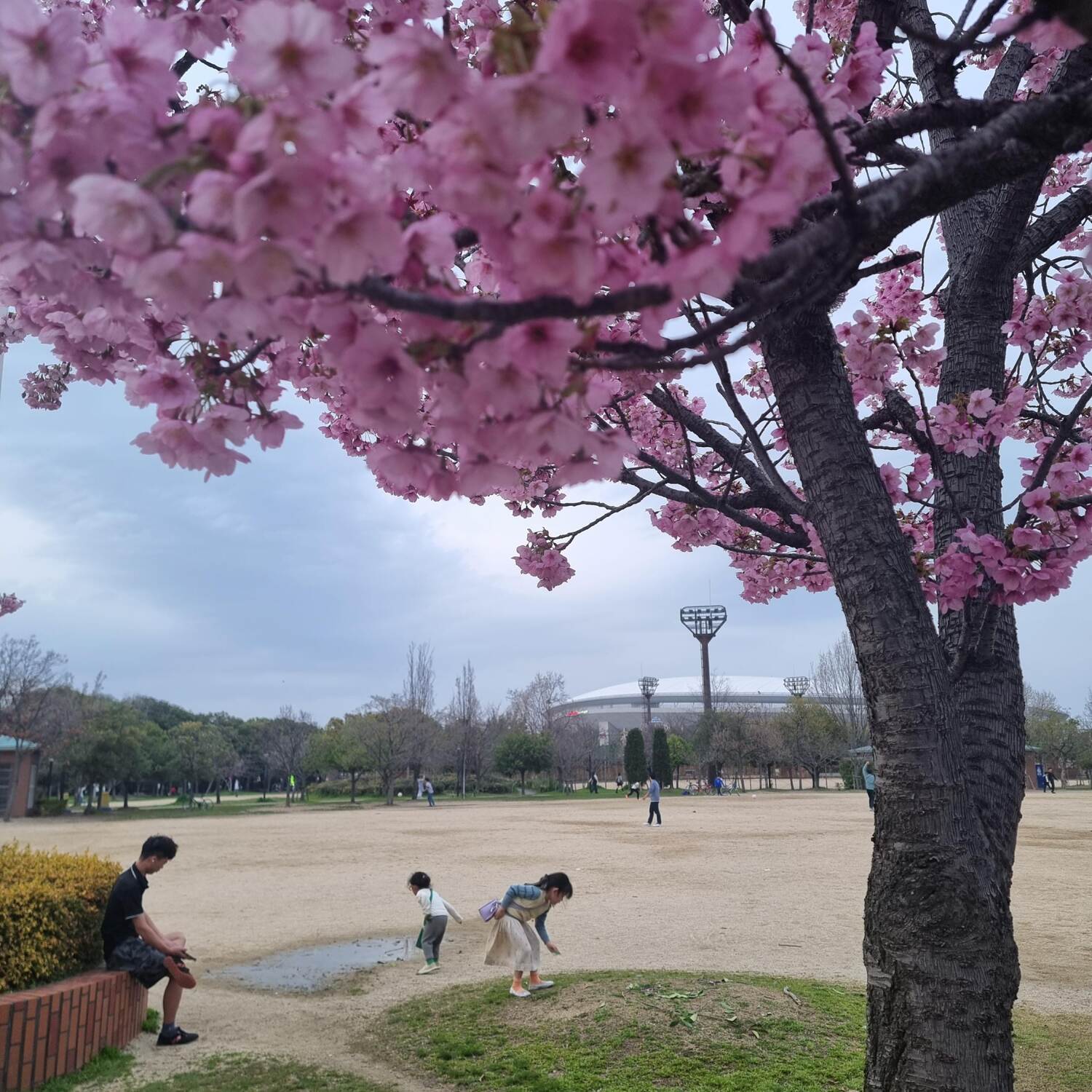 Japan