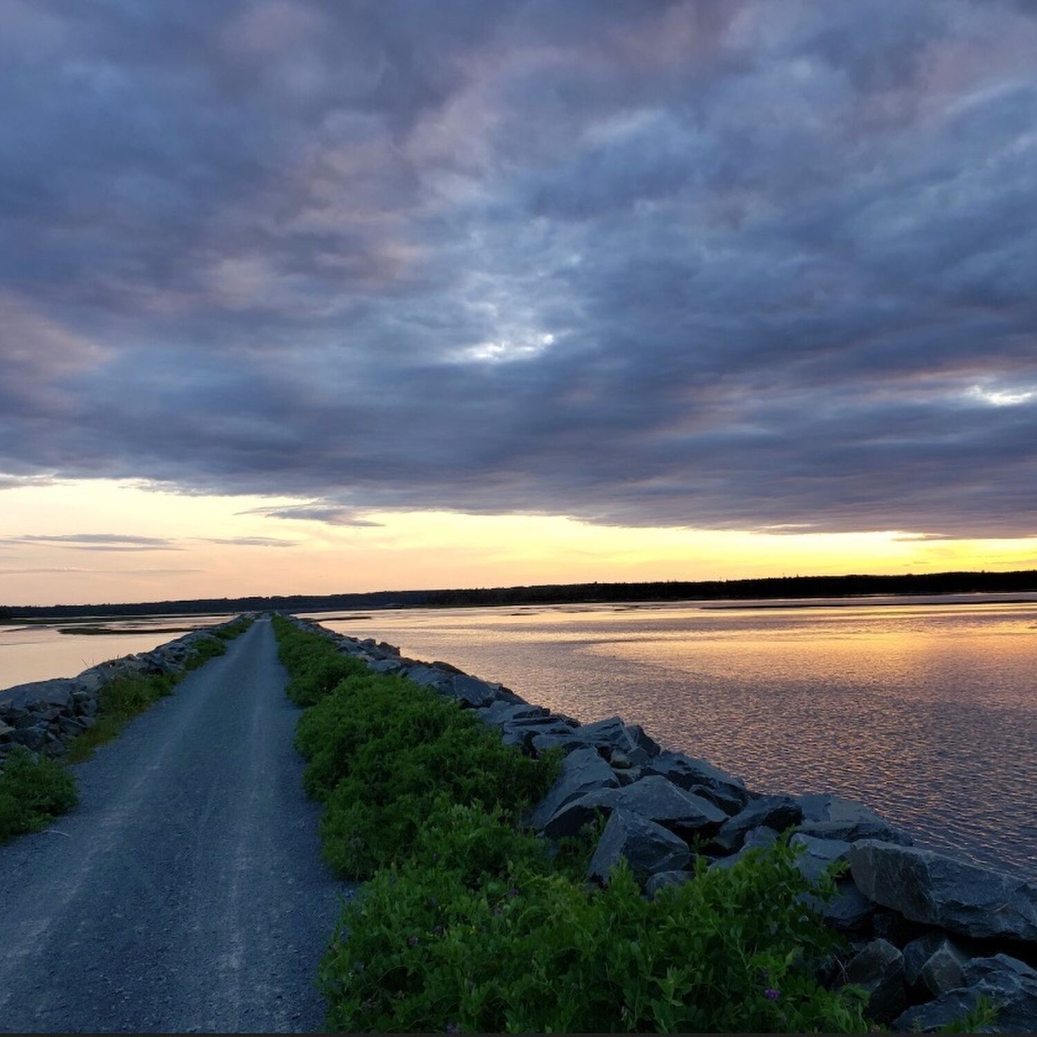 Salt Marsh Trail