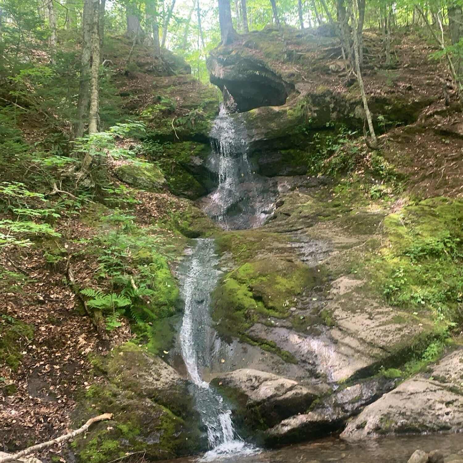 Myles Doyle Falls
