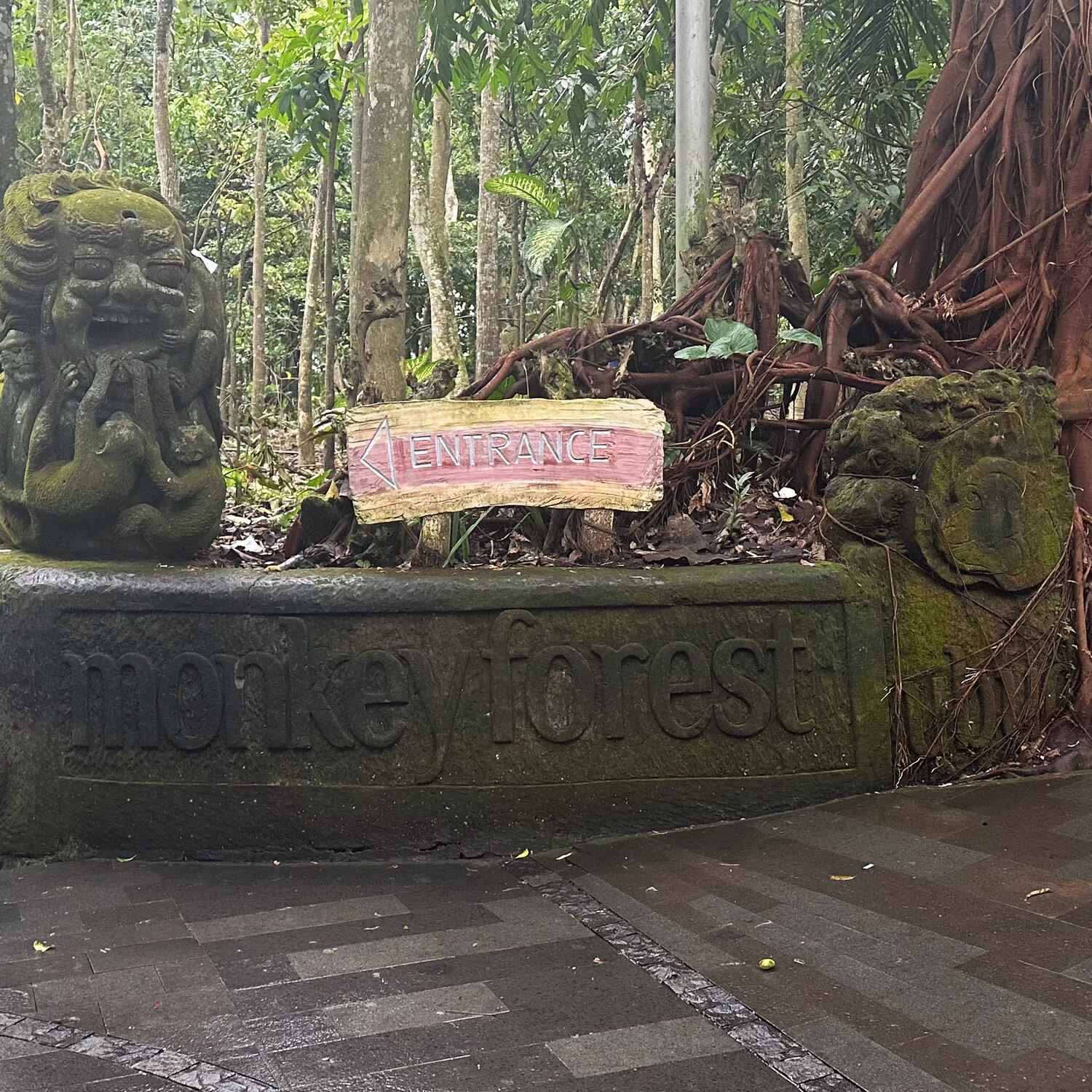 Monkey Forest