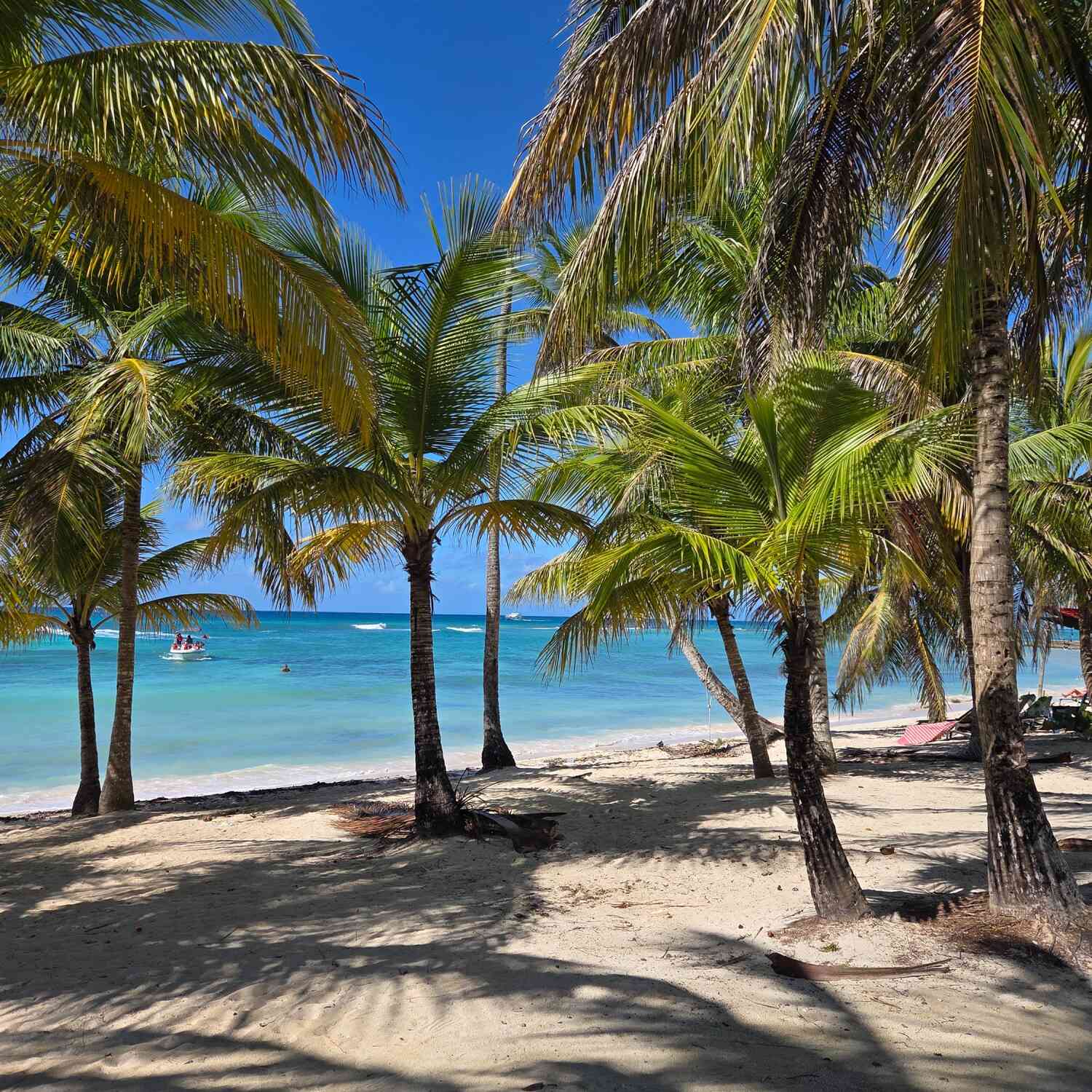 République Dominicaine ☀️🇩🇴