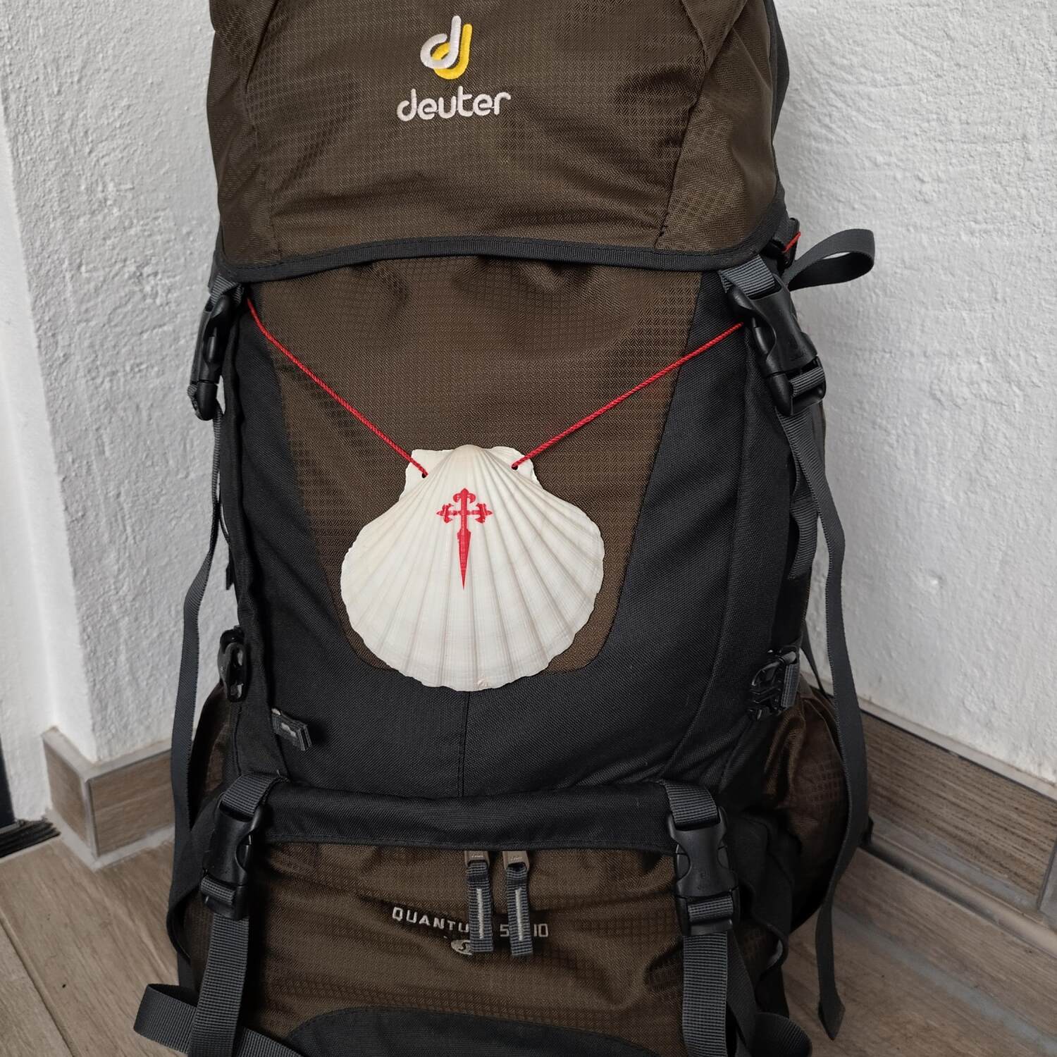 Mein erster Camino