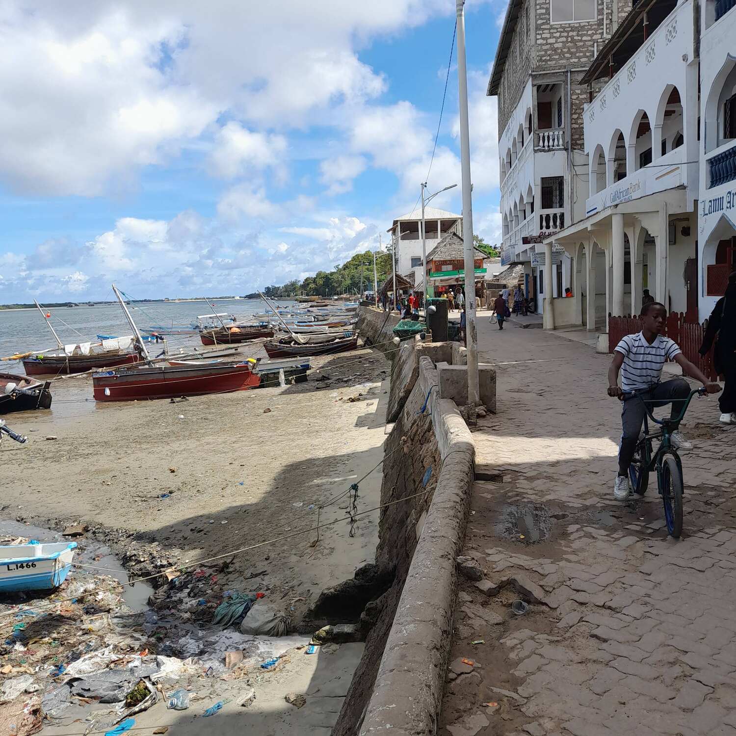 Lamu
