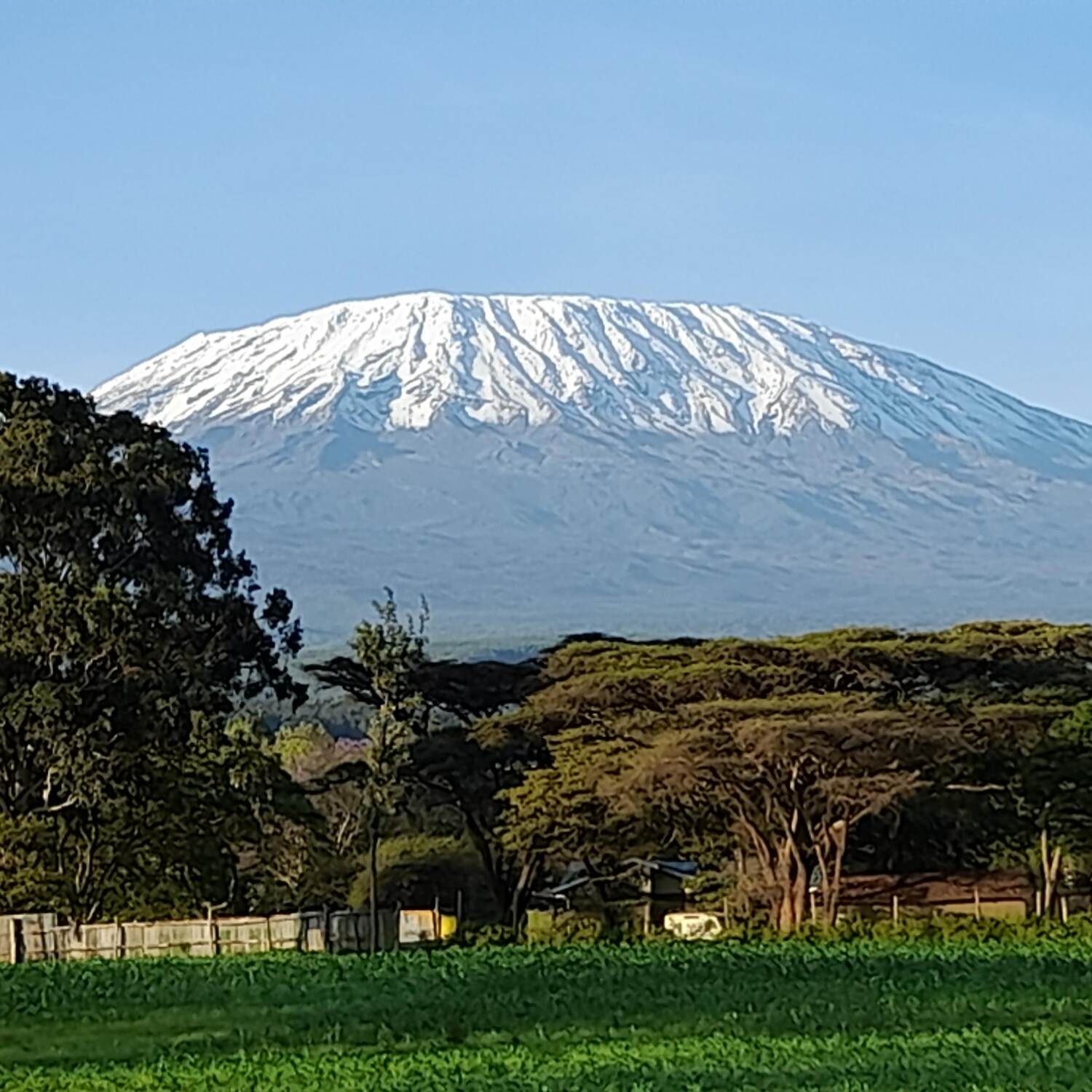 Safari to Oloitokitok