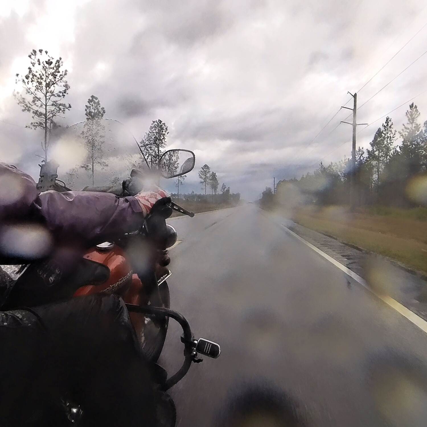 Florida State Parks NC 38-49