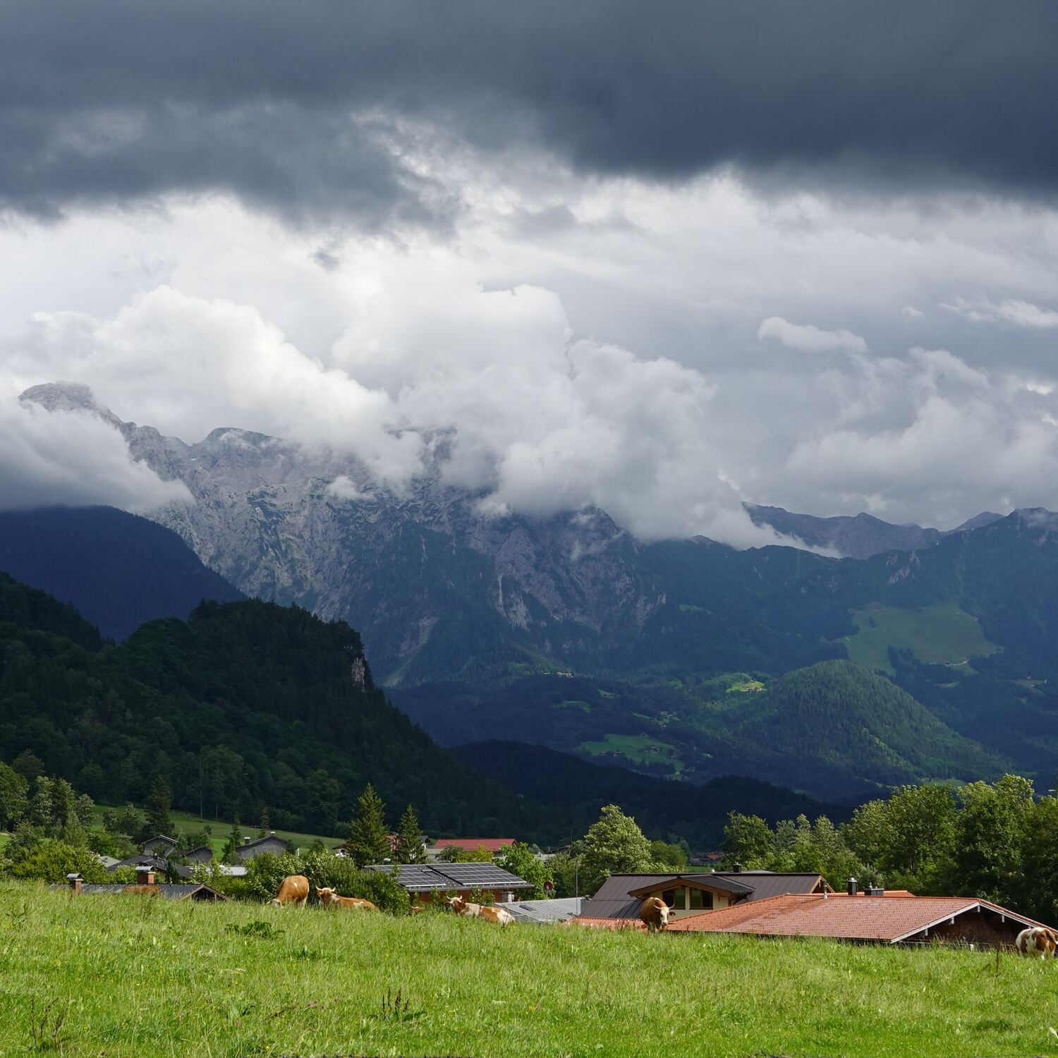 Berchtesgaden - Mango