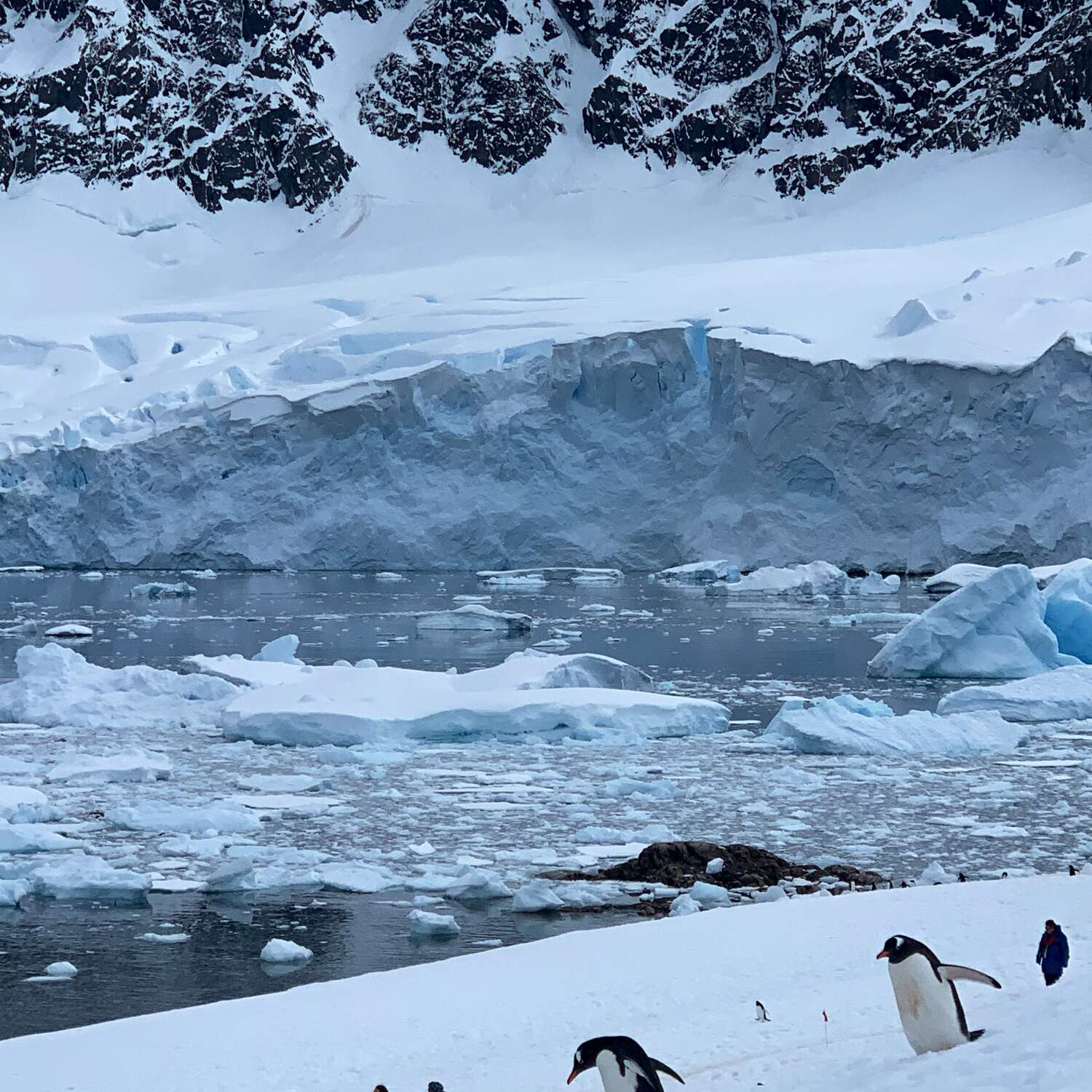 Antarctica