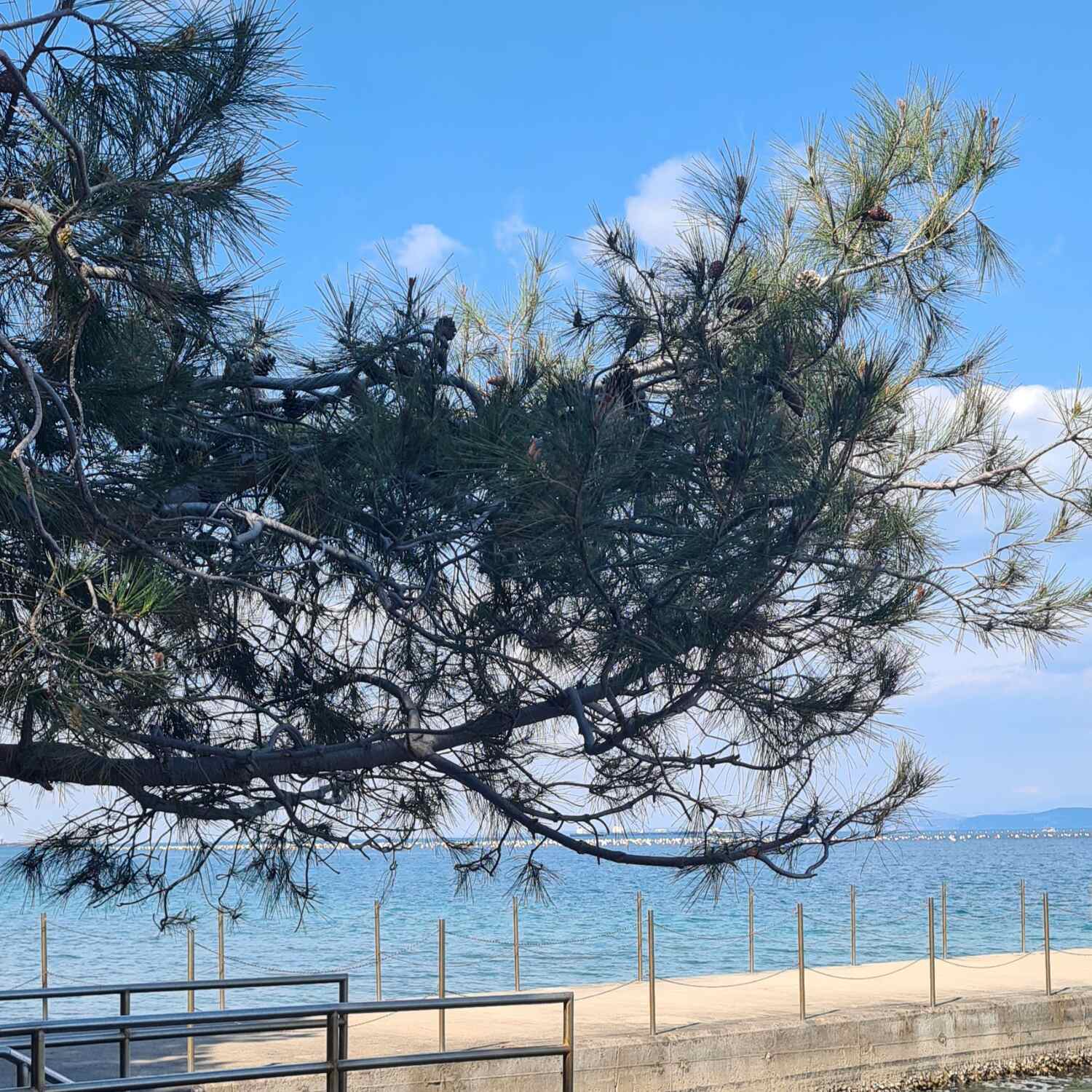 Tagesausflug nach Ankaran