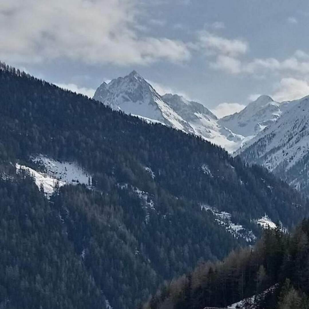 Schifahrn