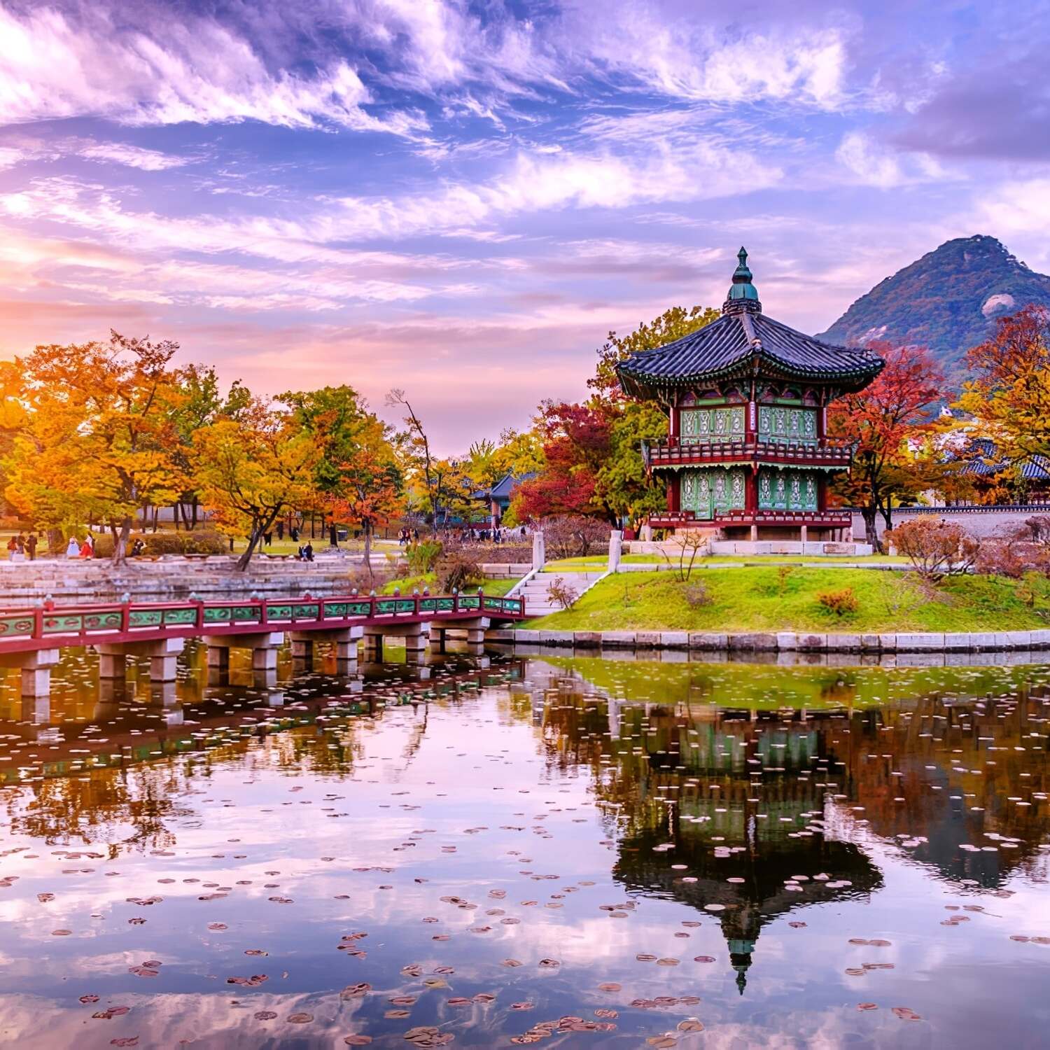 Korea 2026 🇰🇷