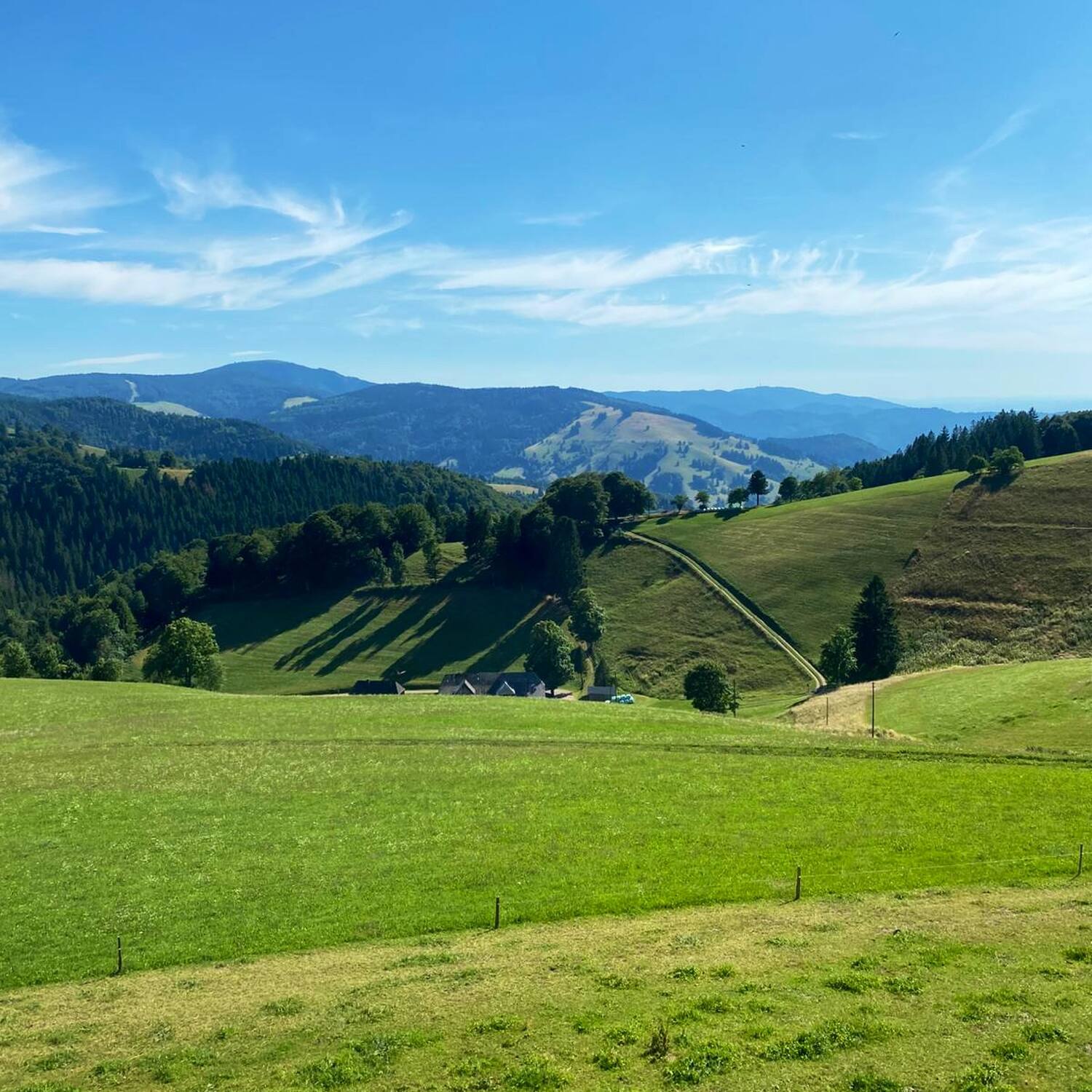 Schwarzwald - Münstertal