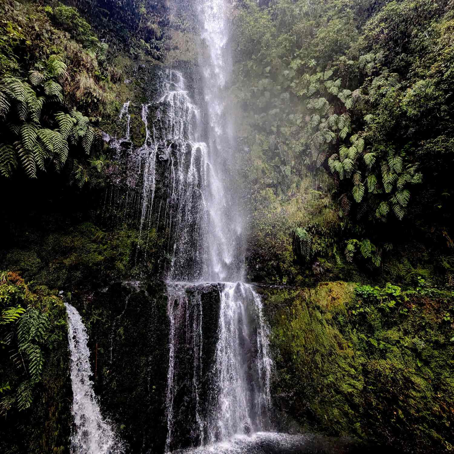 Madeira
