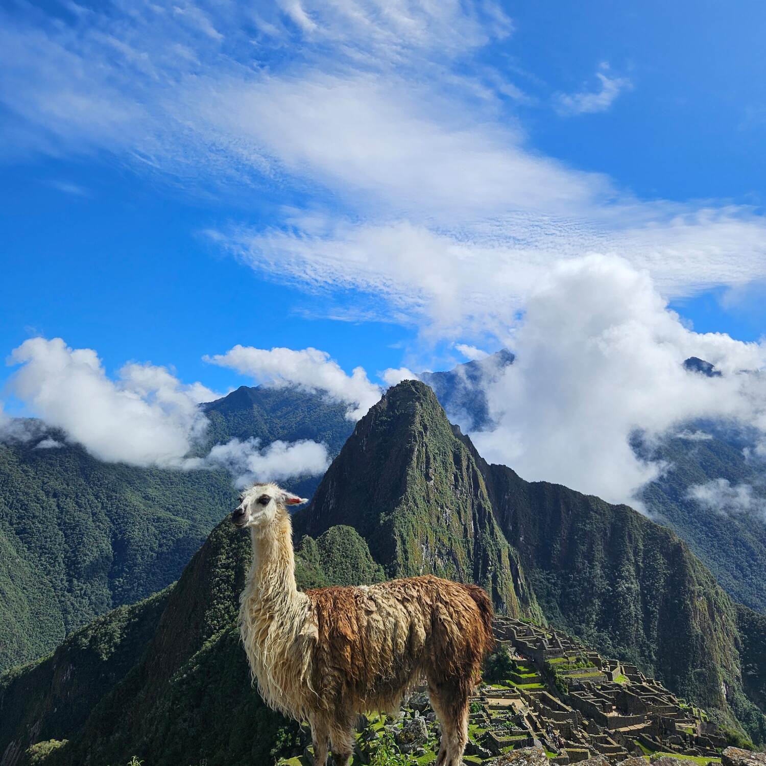Cusco - Perú