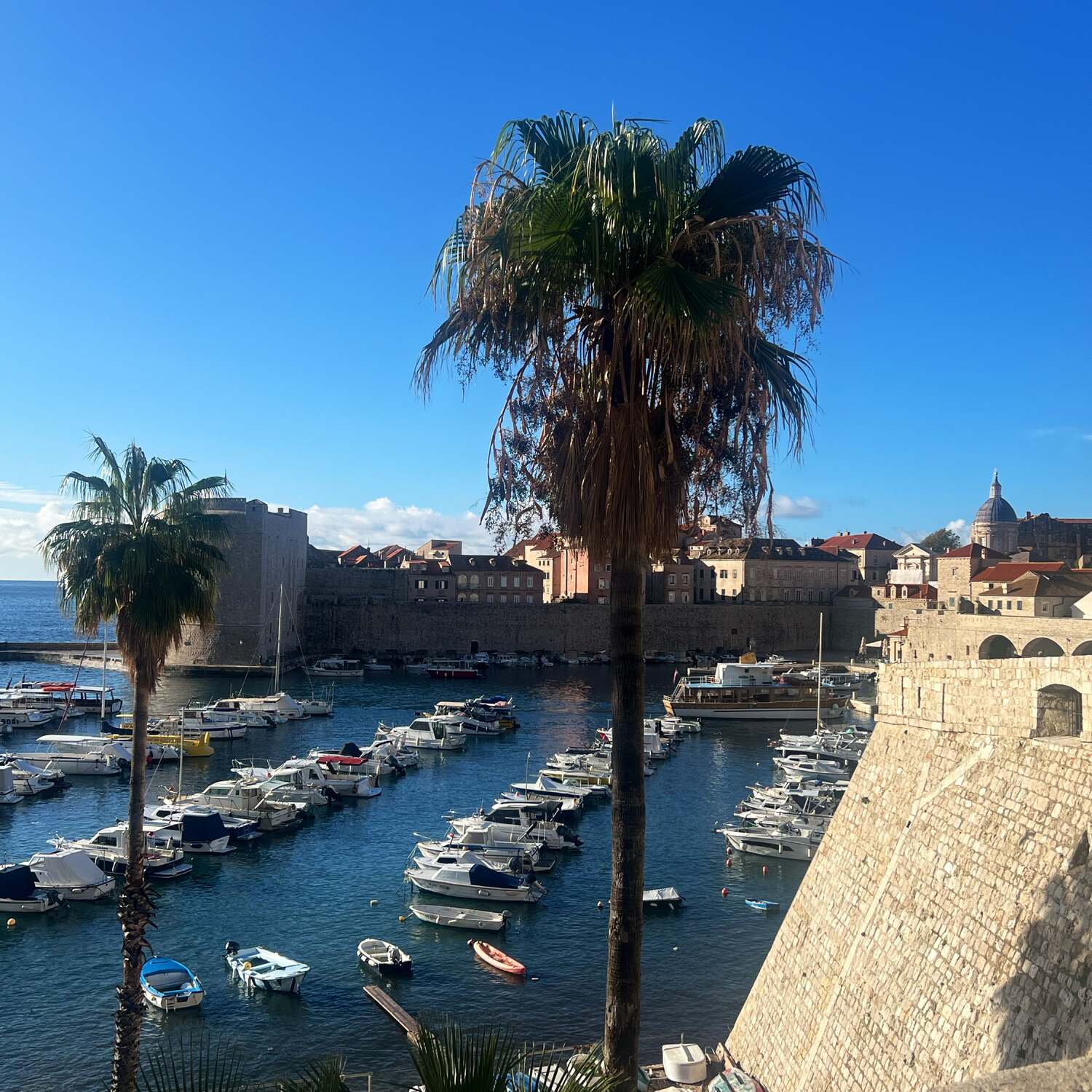 36 Stunden Dubrovnik