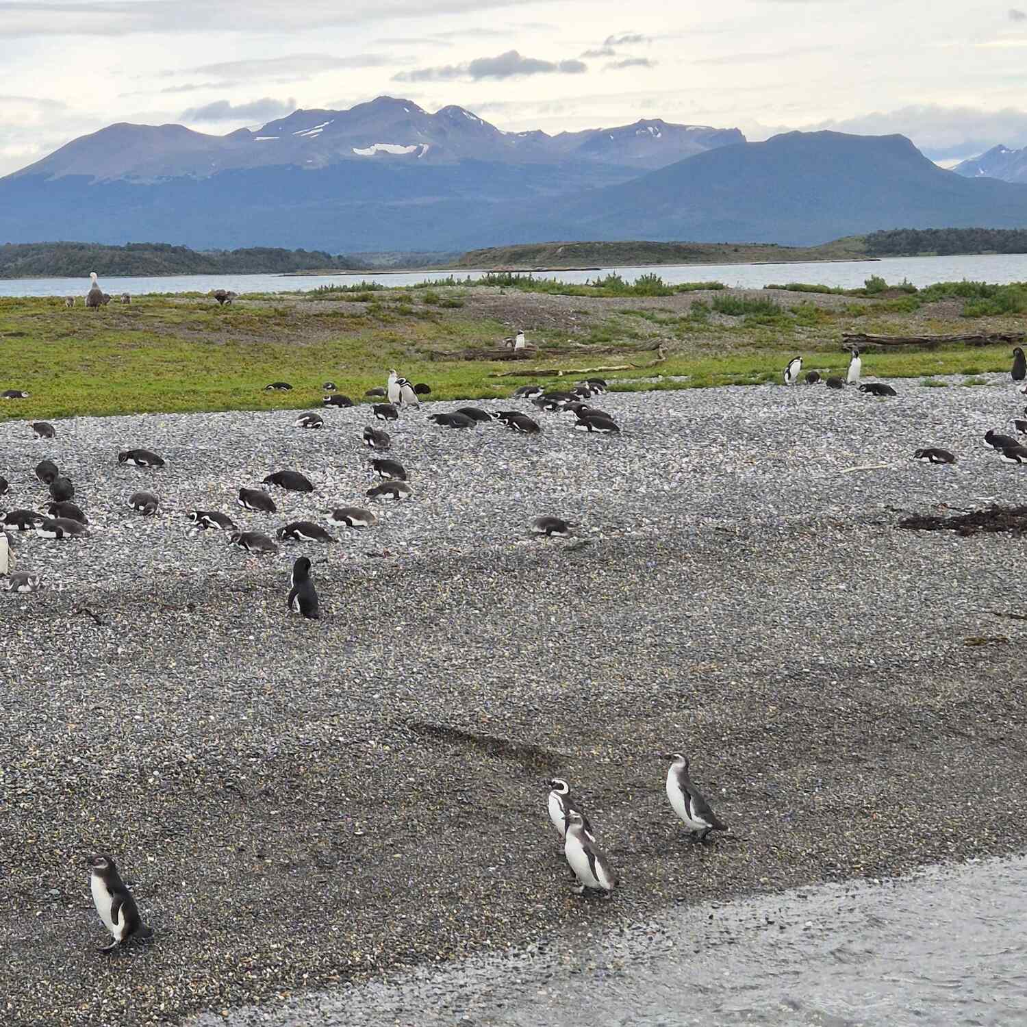Patagonien & Australien